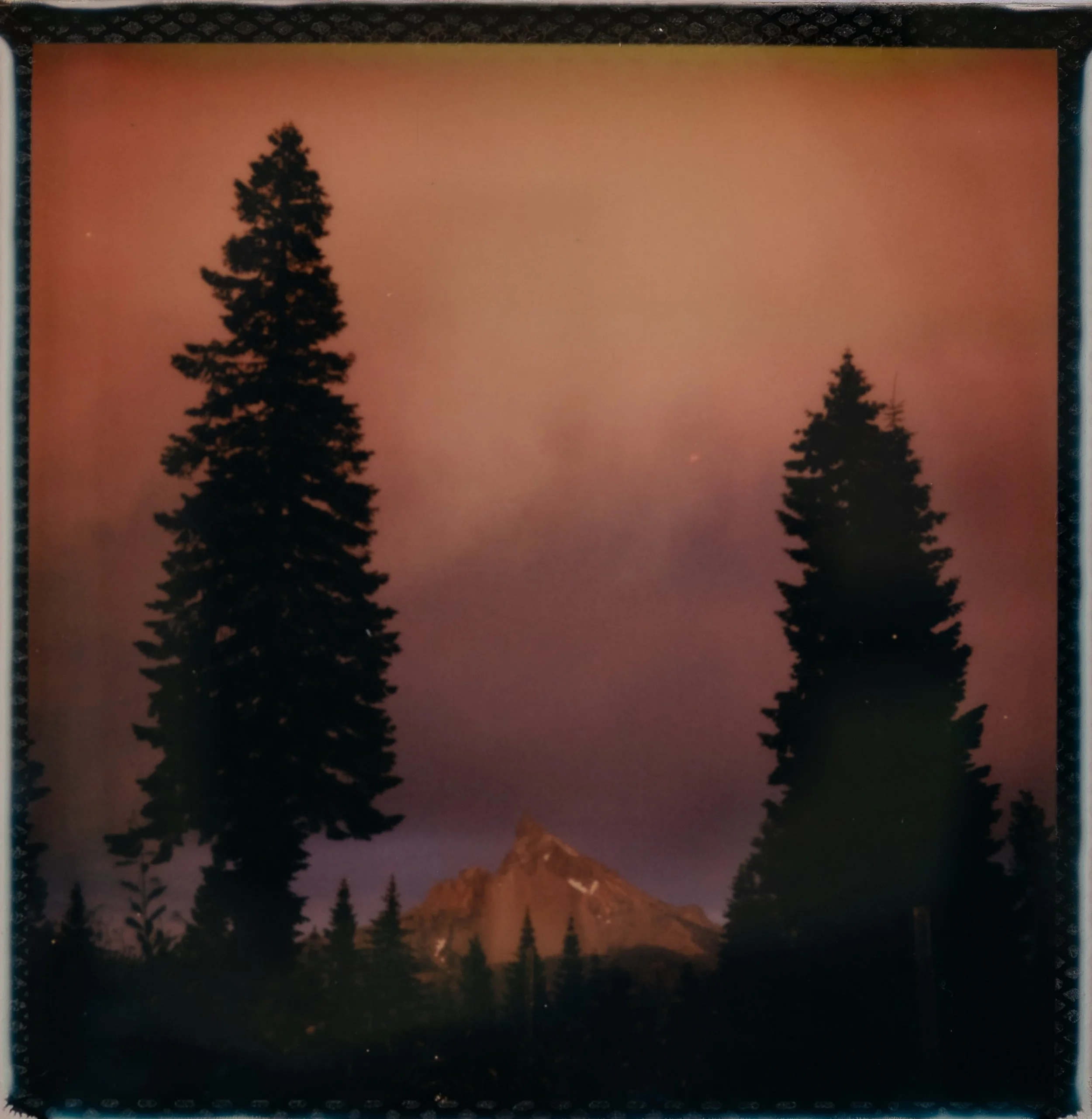 _DSF8378.jpg
