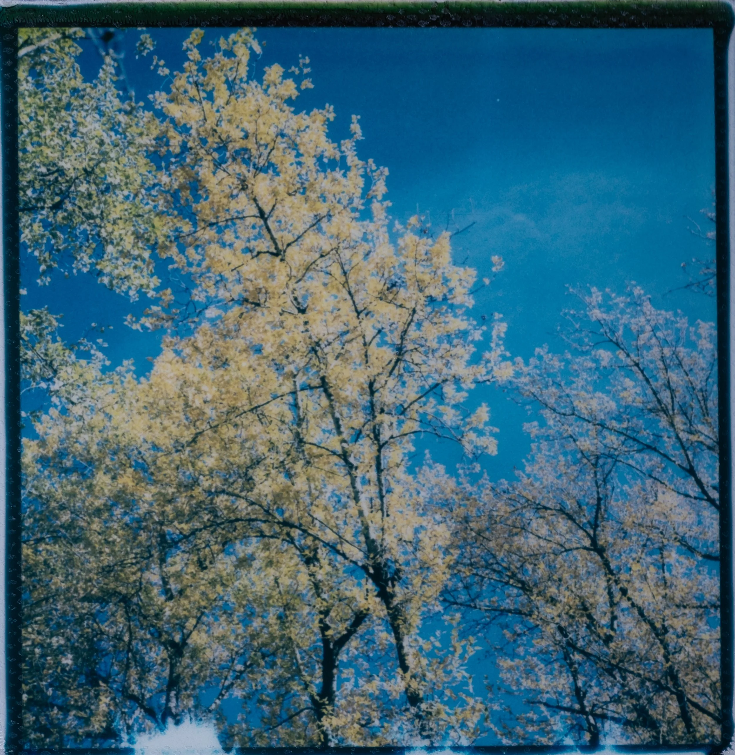_DSF4117.jpg