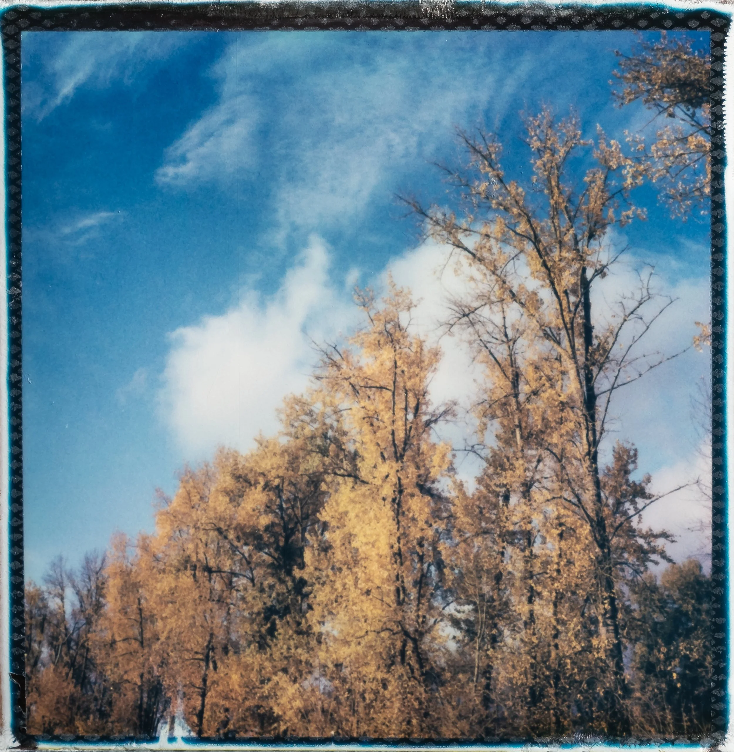 _DSF4790.jpg