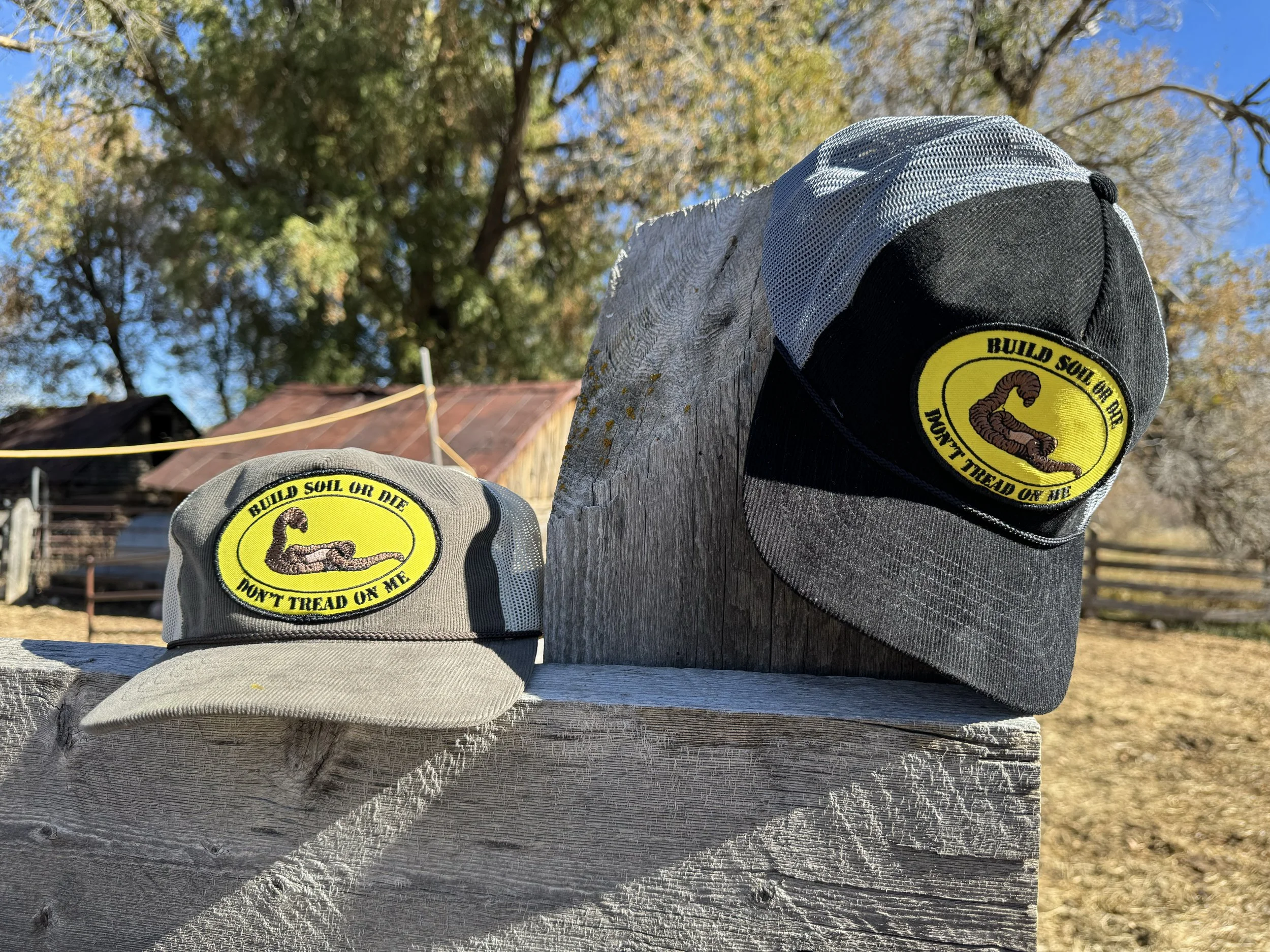 6959 trucker still.jpg