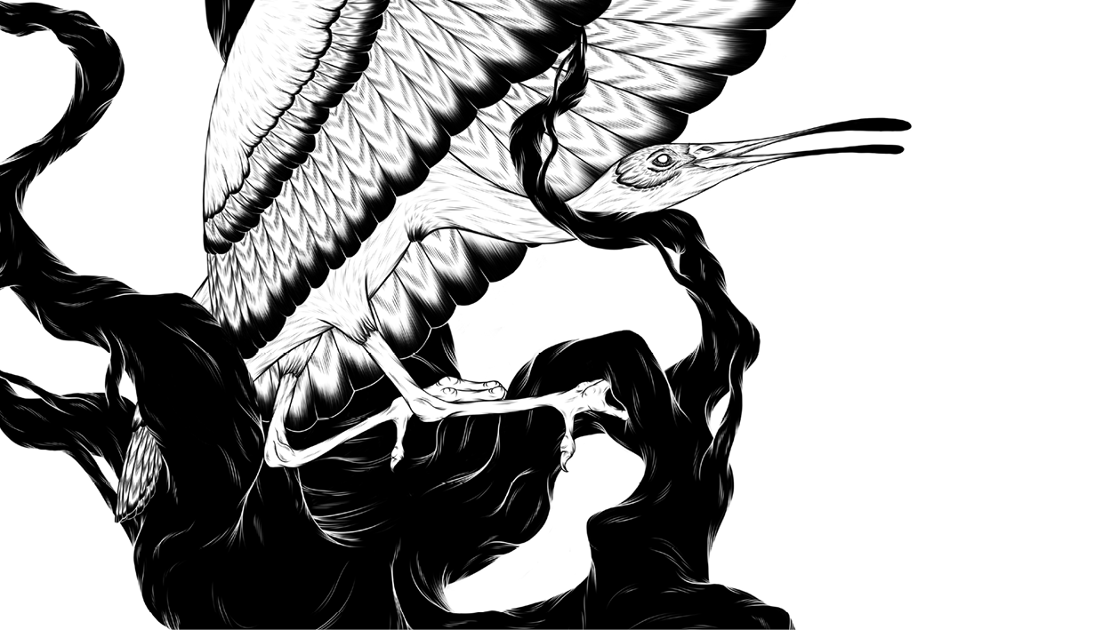 ´´I have been lucky enough to share the journey in the creation of the new album alongside the extremely talented Matthew Eales who has been illustrating an original piece for each song... we have been doing this together from the very birth of each song - heres a little snippet(cropped version) of whats to come!´´