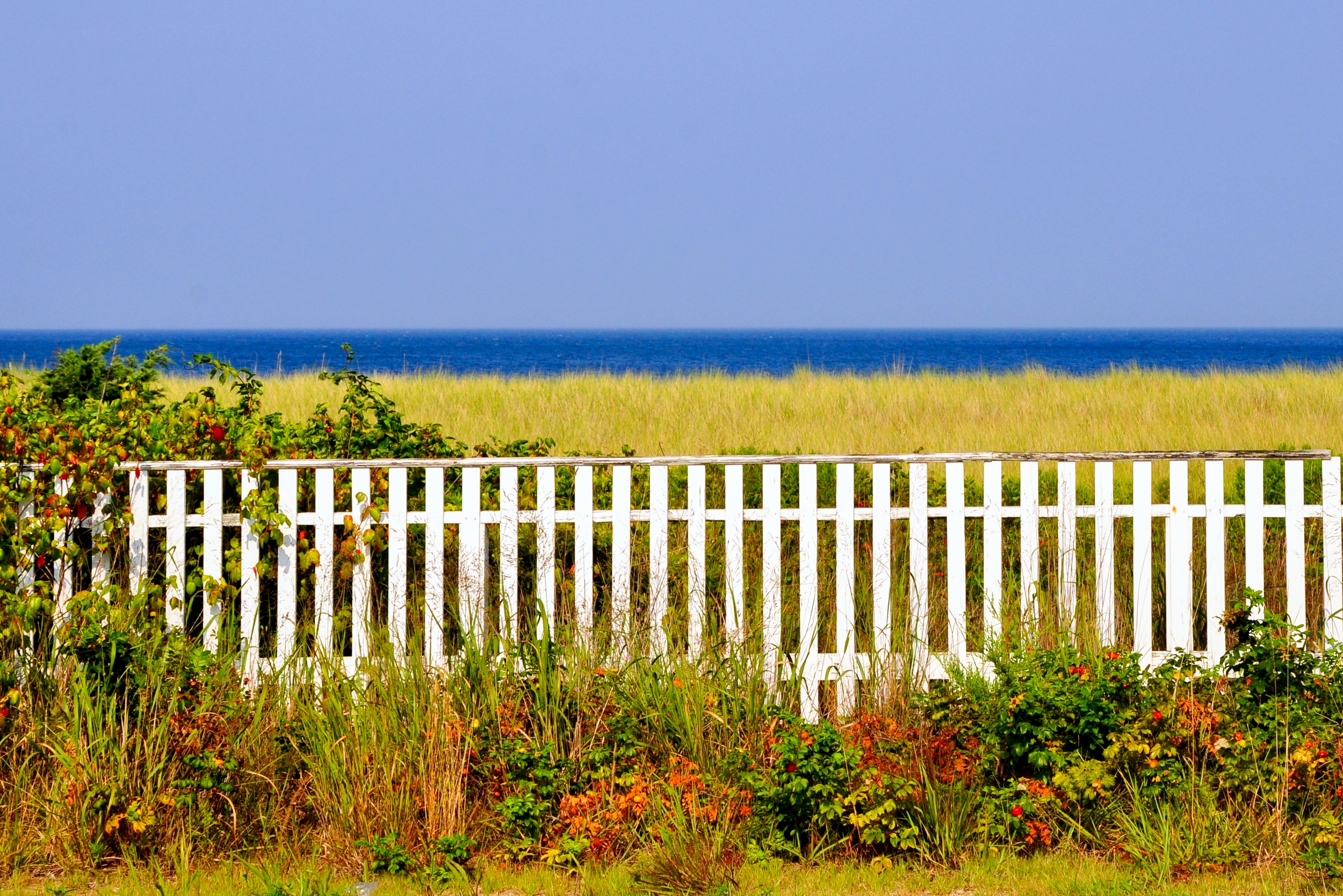 chatham, ma (2010)
