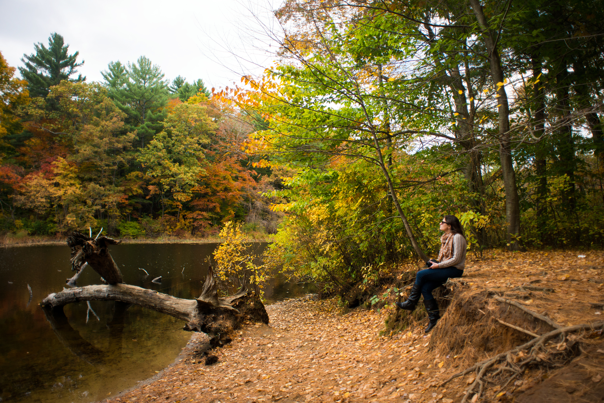 natick, ma (2014)