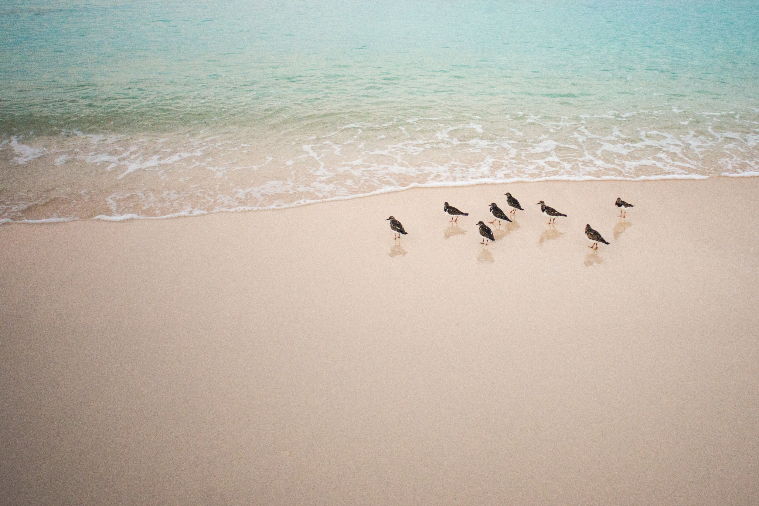 grand cayman, cayman islands (2015)
