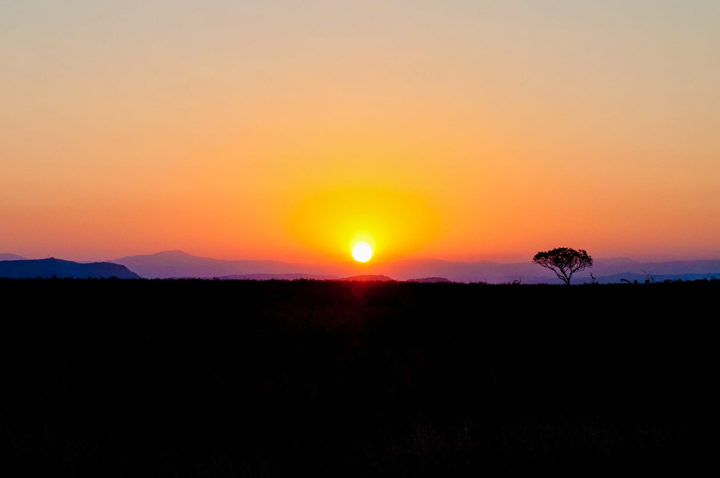 kruger national park, south africa (2012)