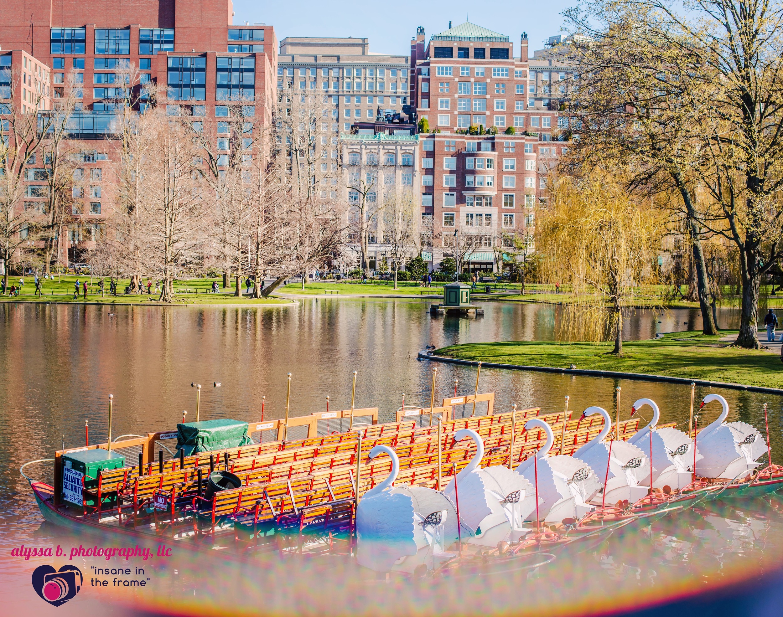 early spring in boston, reflected by prism (2016)