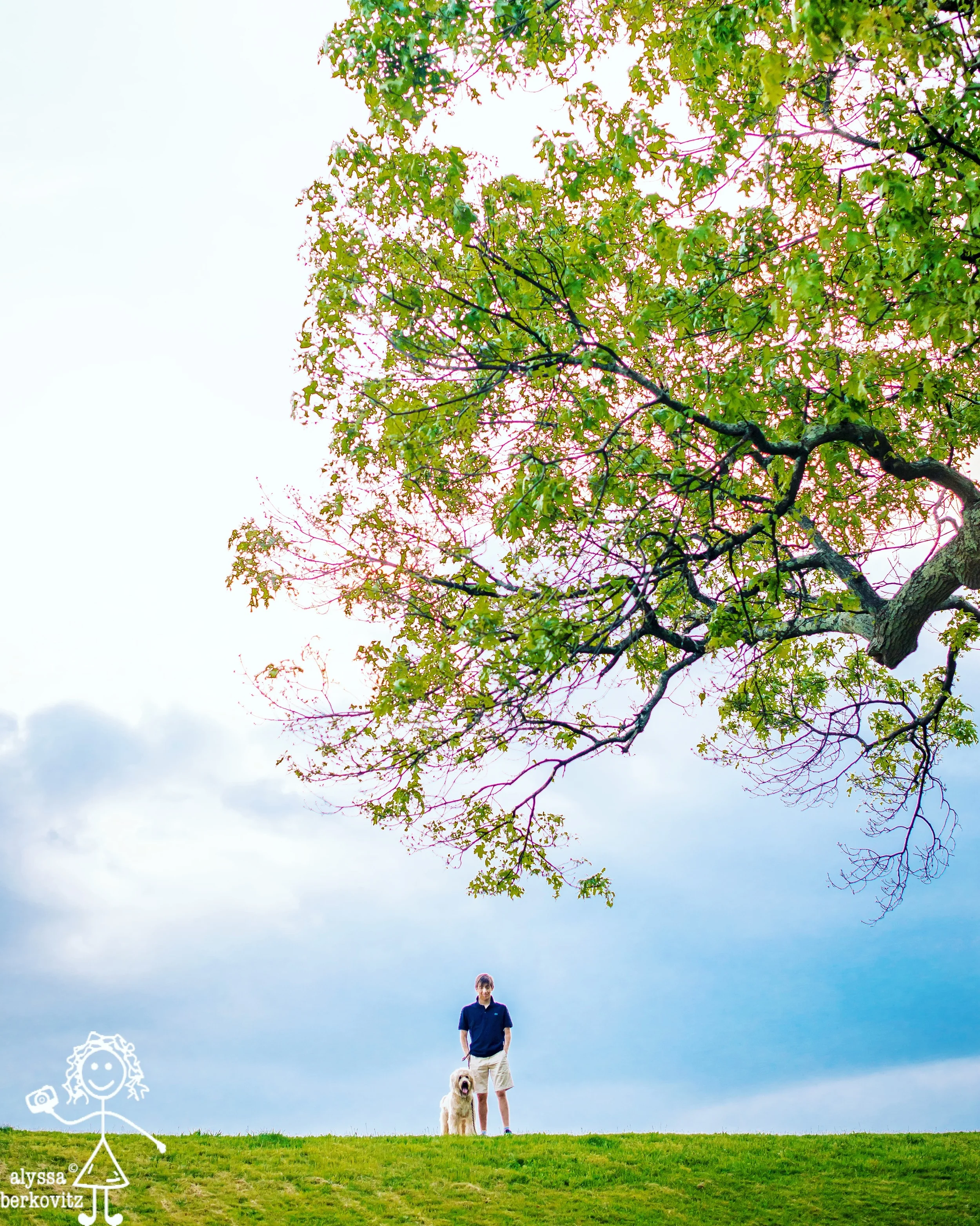 herbert & benjamin (2016)