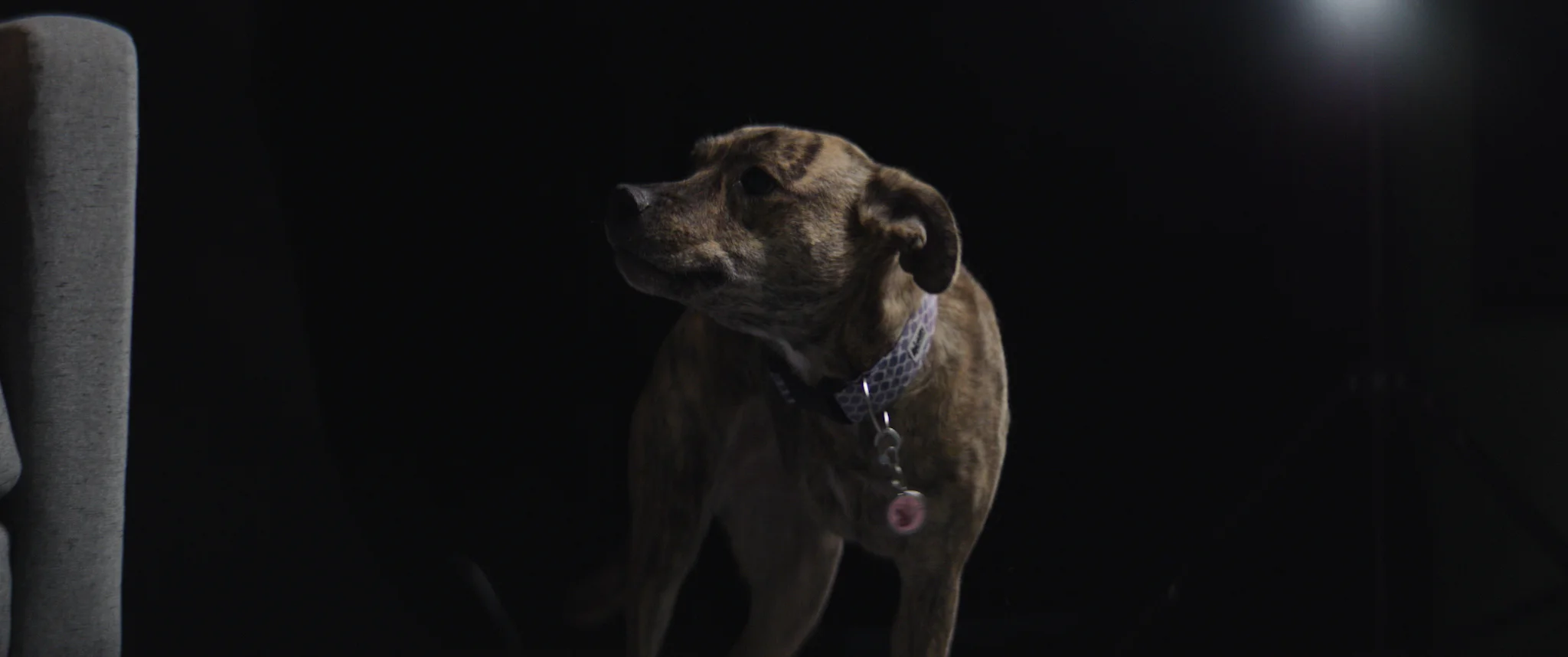 BROLL TRIM A CAM.01_06_49_05.Still047.jpg