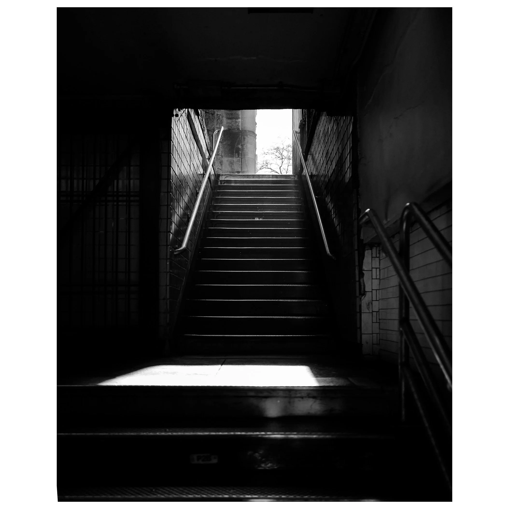 IMG_3020.jpeg