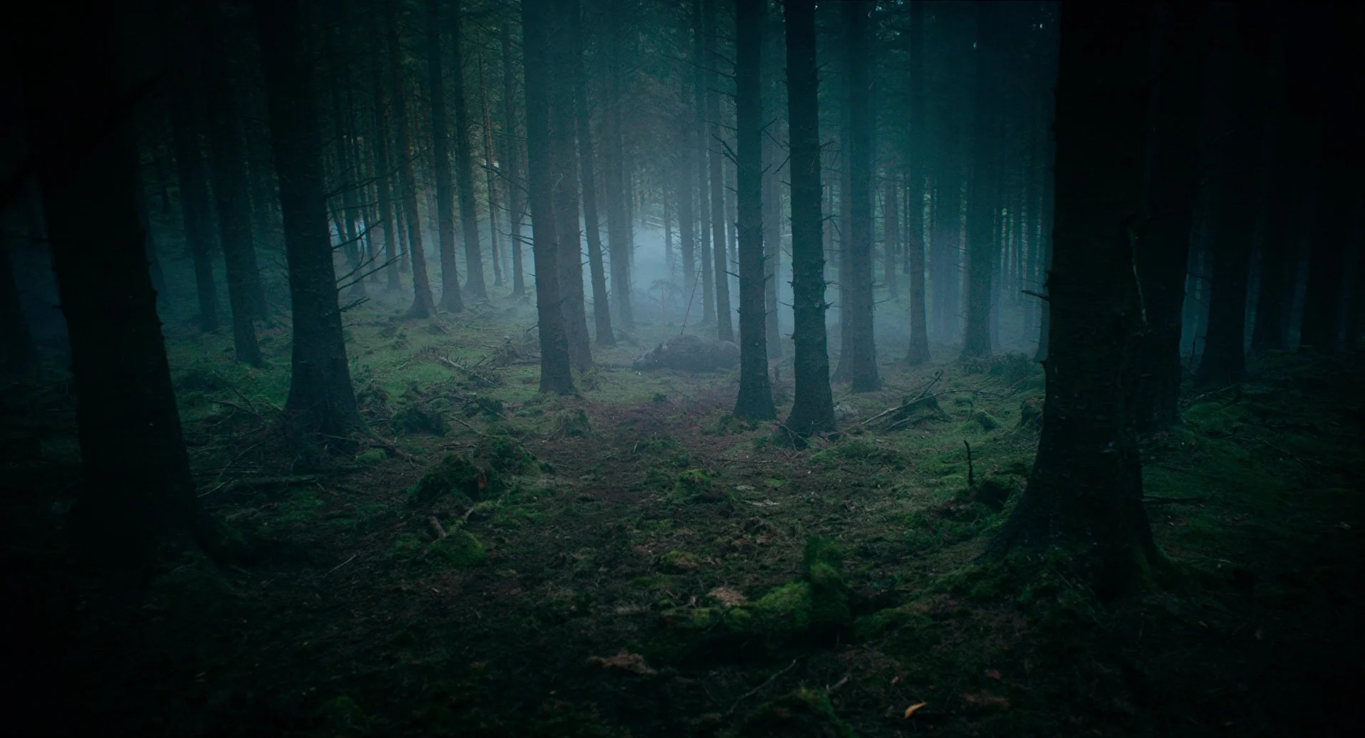 20 - The Green Knight.jpg