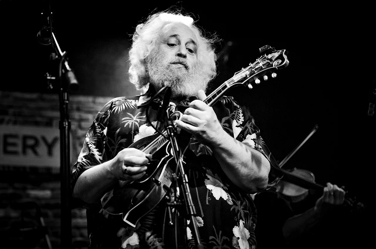 DAVID GRISMAN © Mandy Pichler 2017
