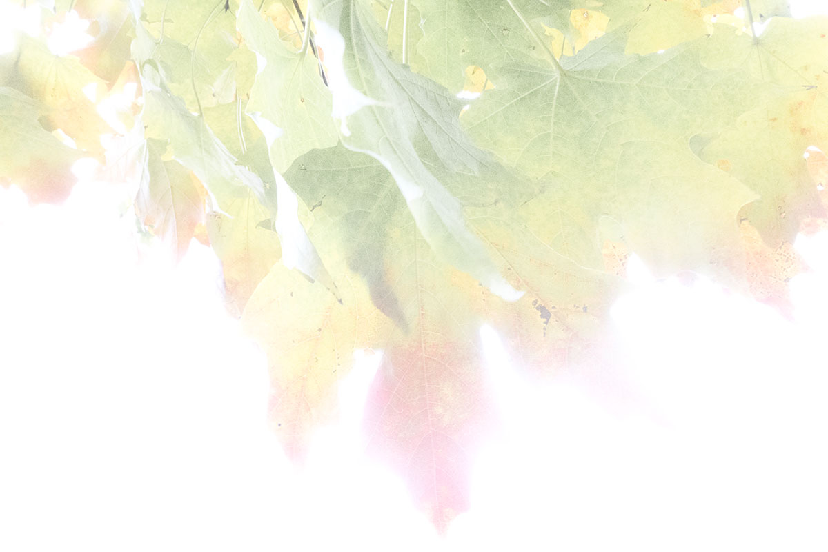 Autumn in Chicago #2 (2016)