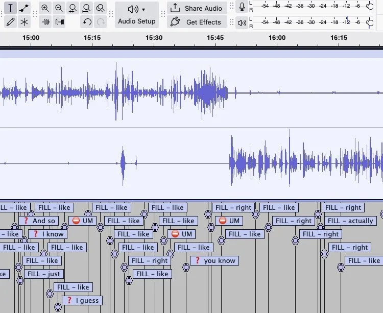 CROPPED AUDACITY.jpg