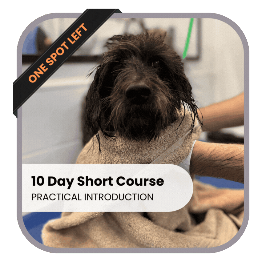 10 Day Short Course