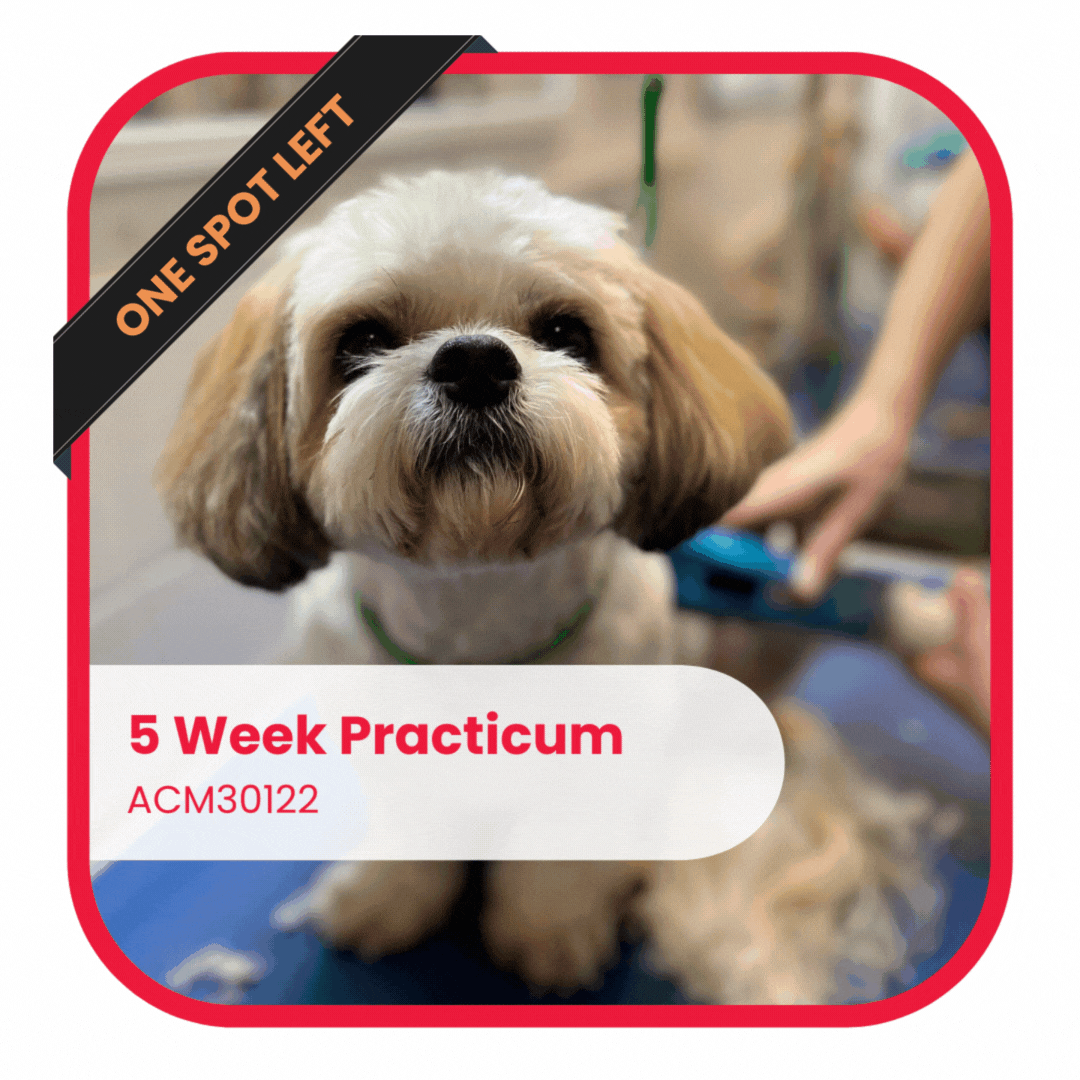 5 Week Practicum ACM30122