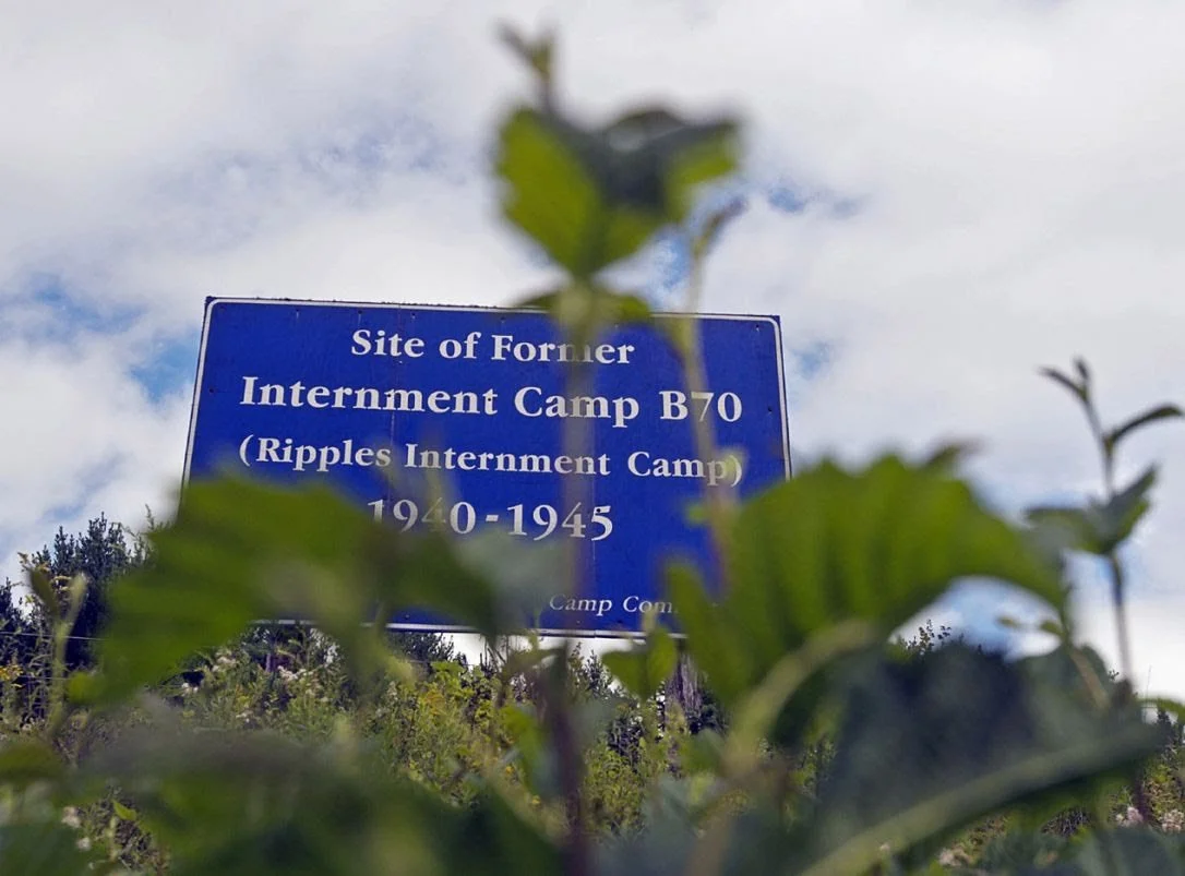 Internment (Currently in Development)