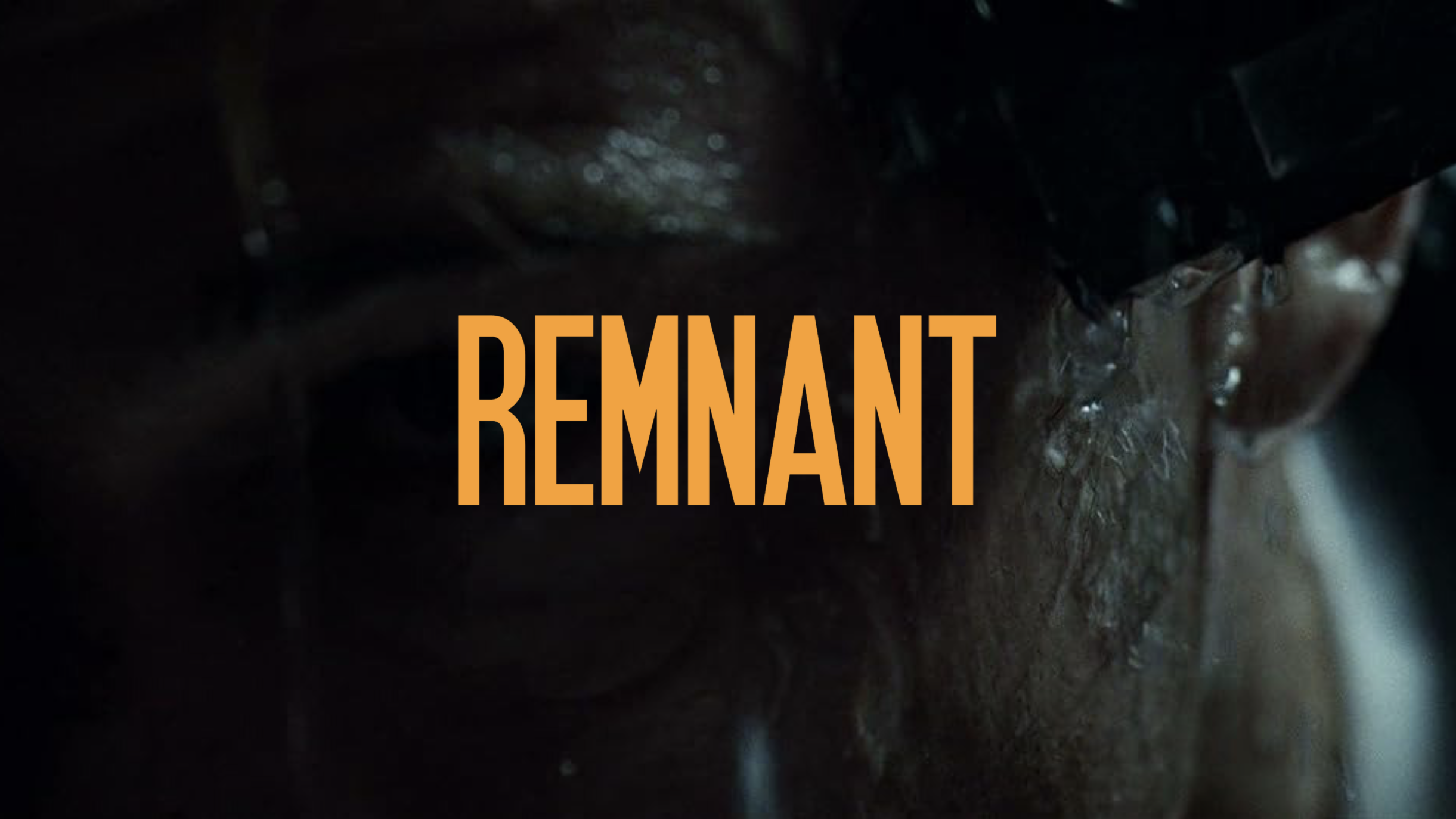 Remnant (Currently in Development)