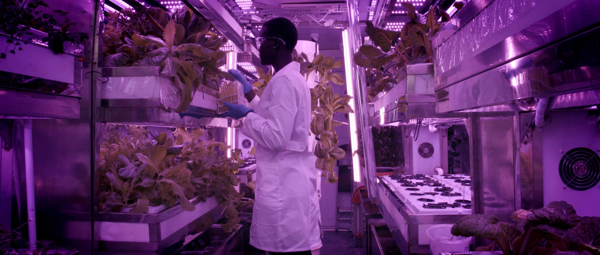 FINAL We Are the Daughters - EXPORT.00_00_01_12.Still009.jpg