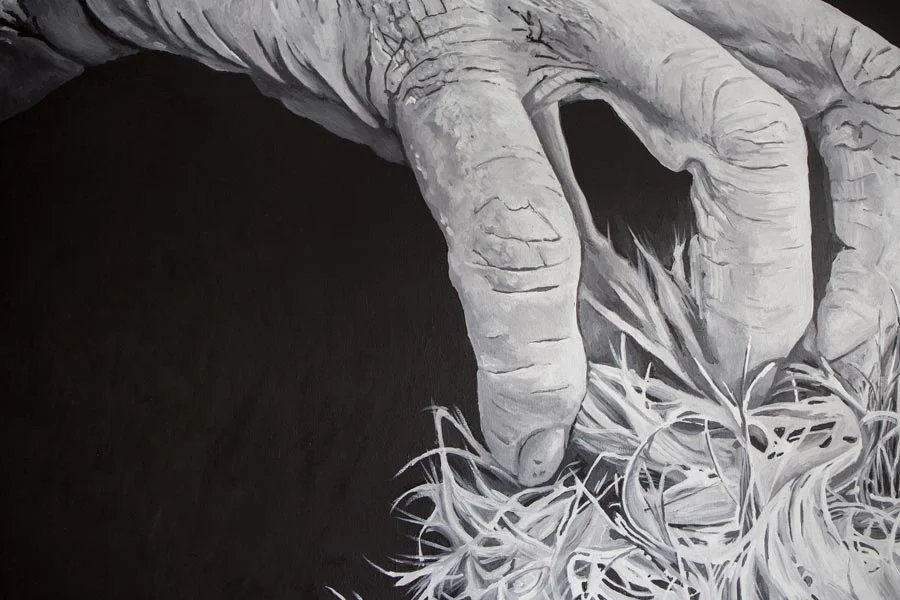 'Amandine' - detail