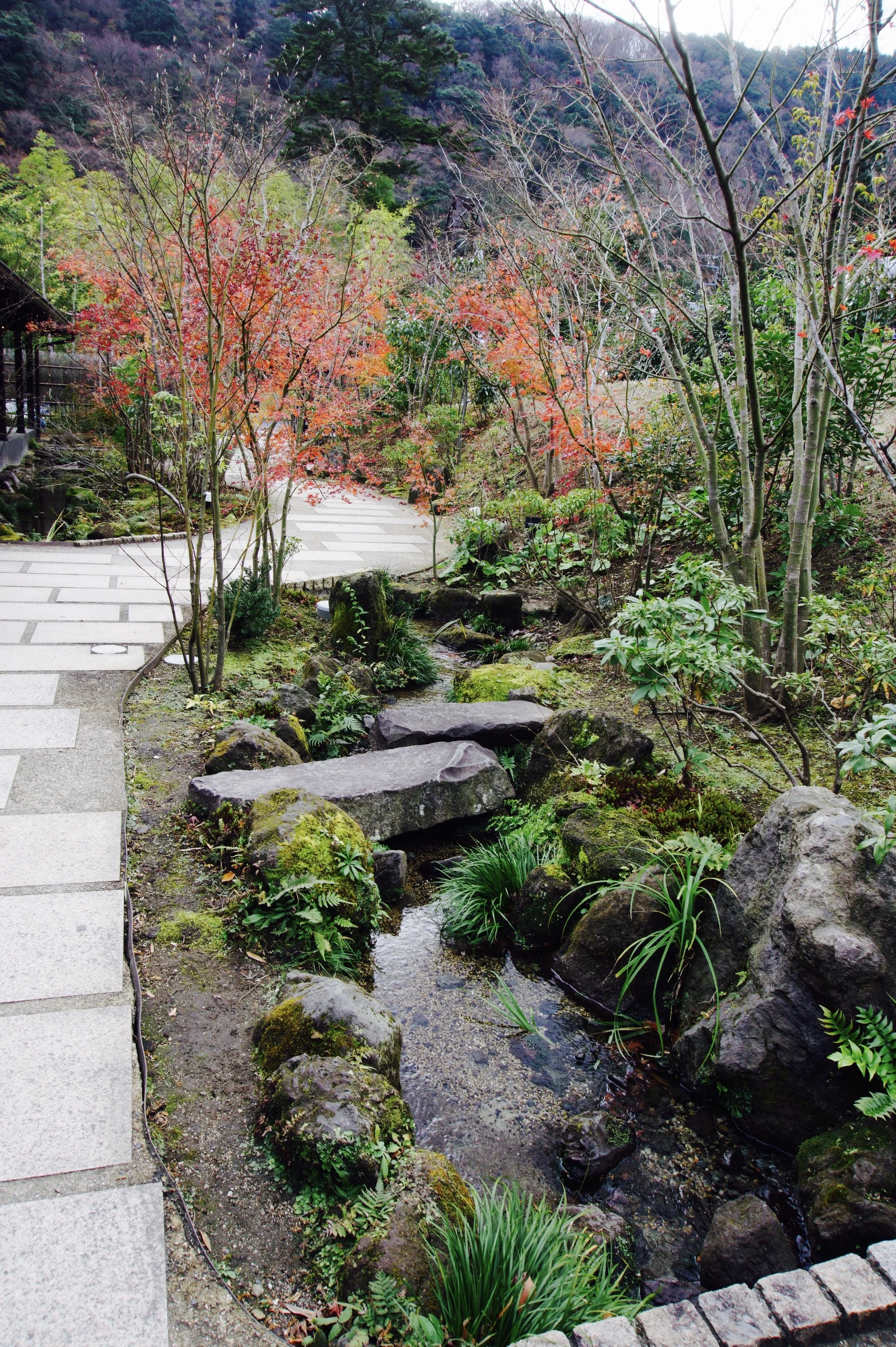 Inside the Hakone Yuryo, so beautiful!