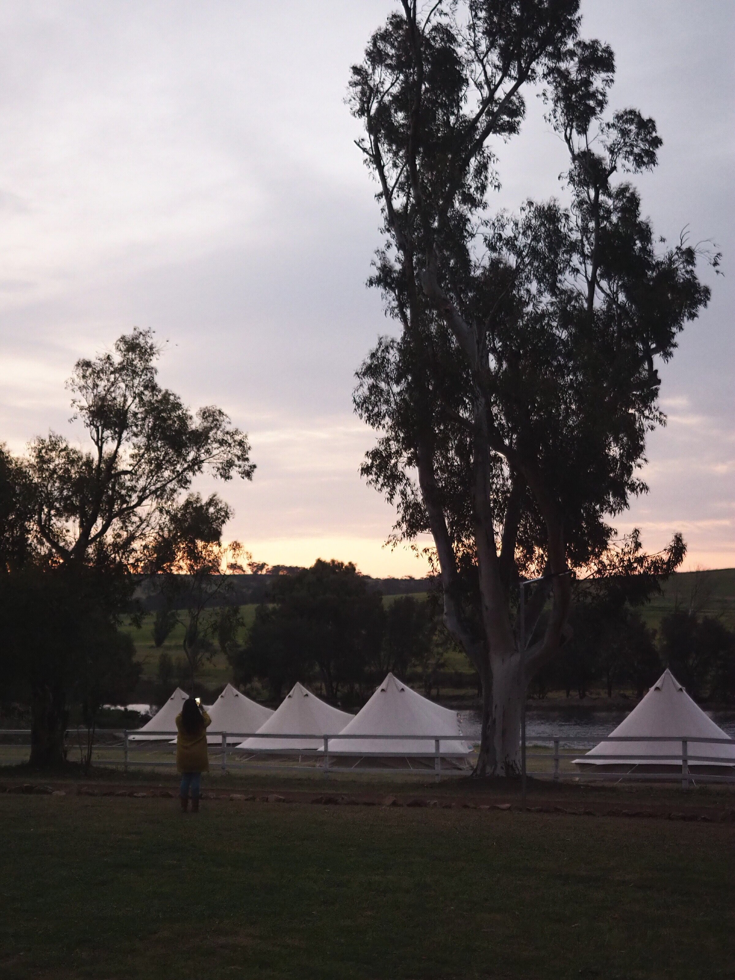 Soul Glamping set up at Buckland Estate