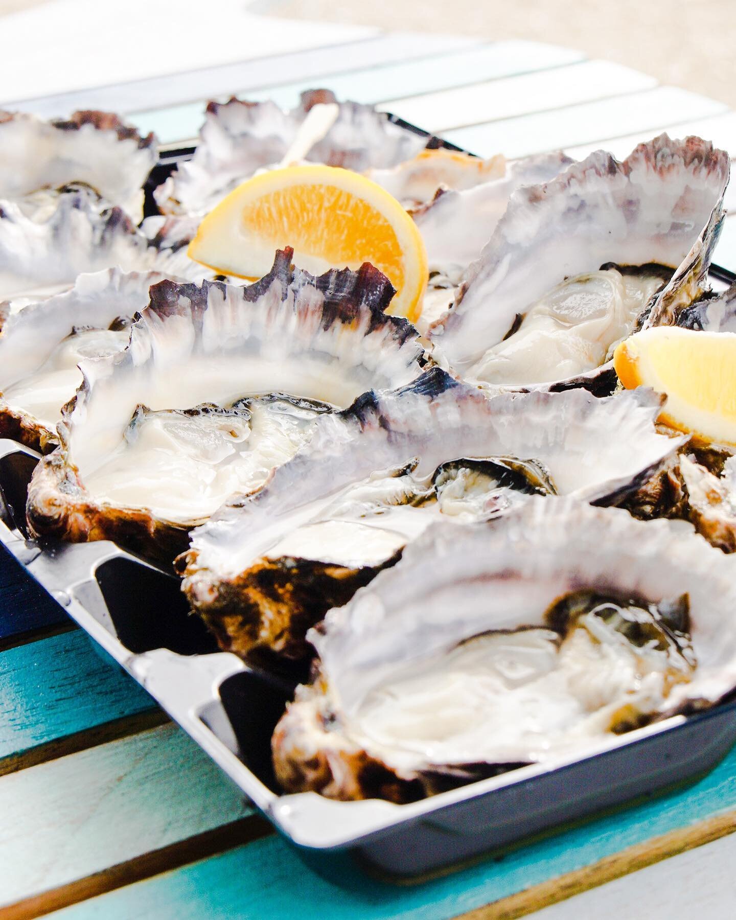 For when we can travel to @tasmania and visit @melshell_oysters 🥳🦪.

Melshell Oysters have been farming plump, sweet, salty 🦪 since 1985 🤗. The waters used are located in Great Oyster Bay surrounded by @freycinetnp visitors like 🐬 and 🐳. How cu