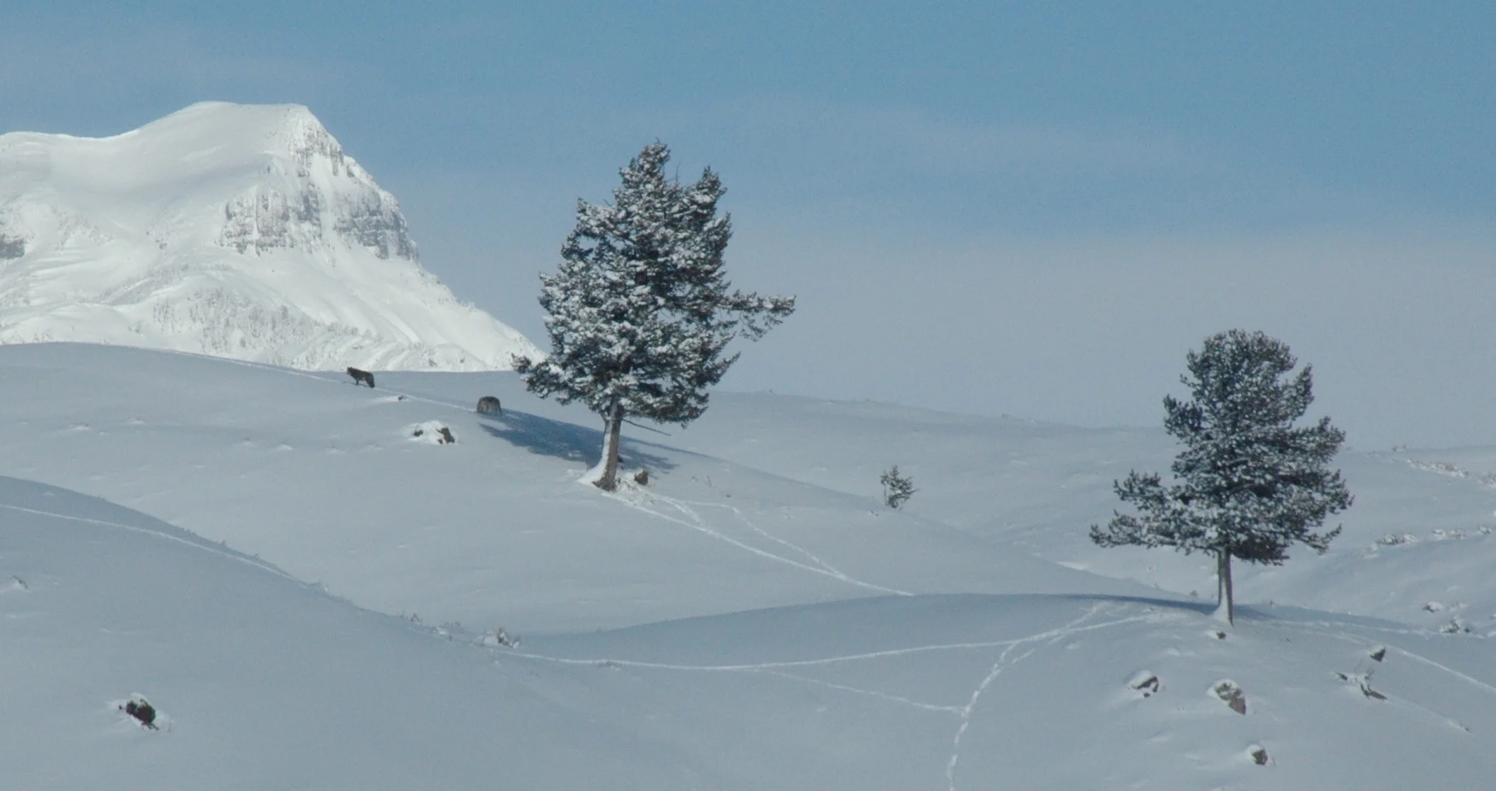 DSC_0743.jpg
