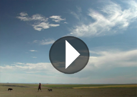 National Geographic: American Serengeti