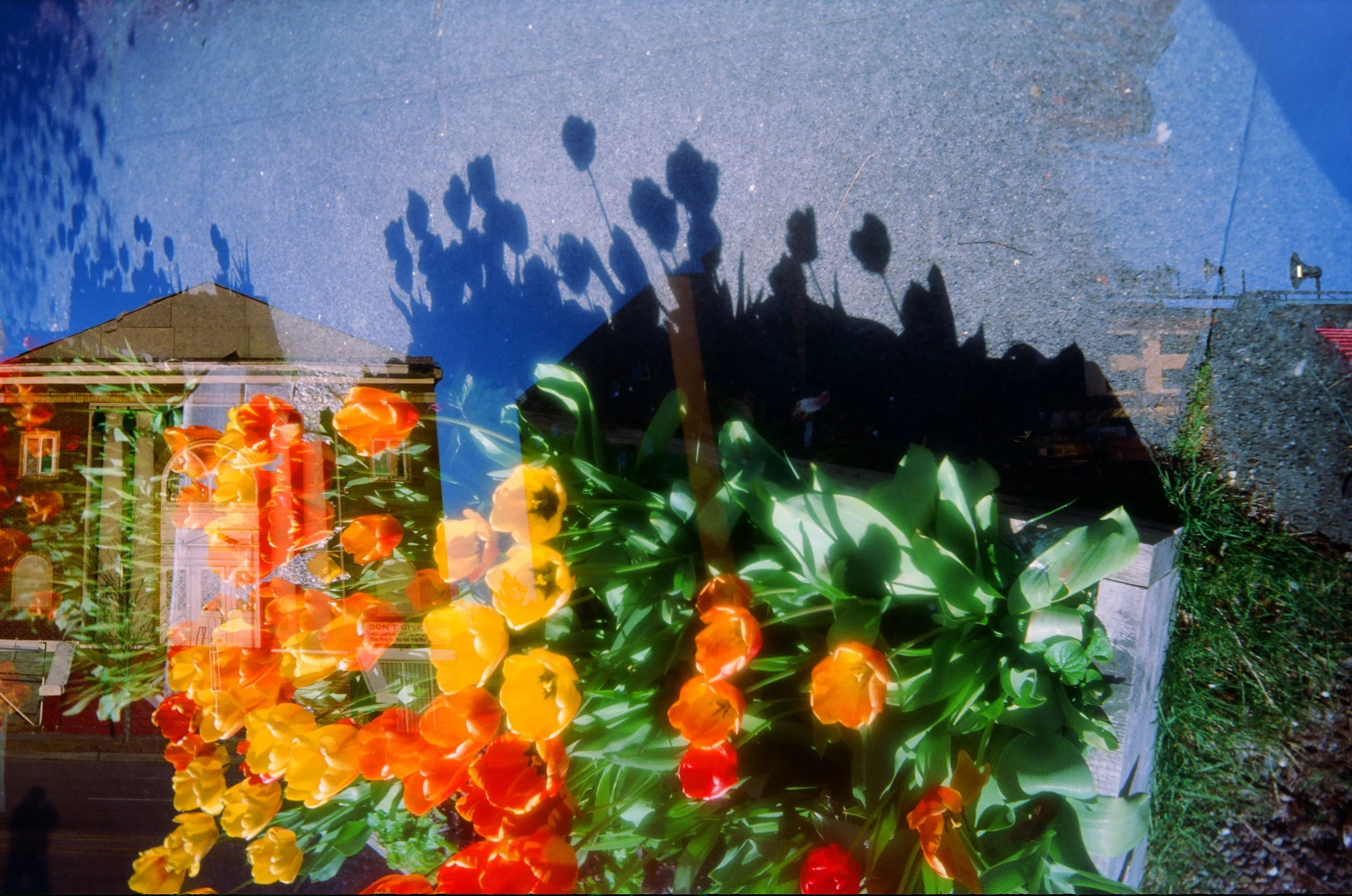 Kansas City x Seattle / 2022 (one roll, two cities project with Nancy Churillo)