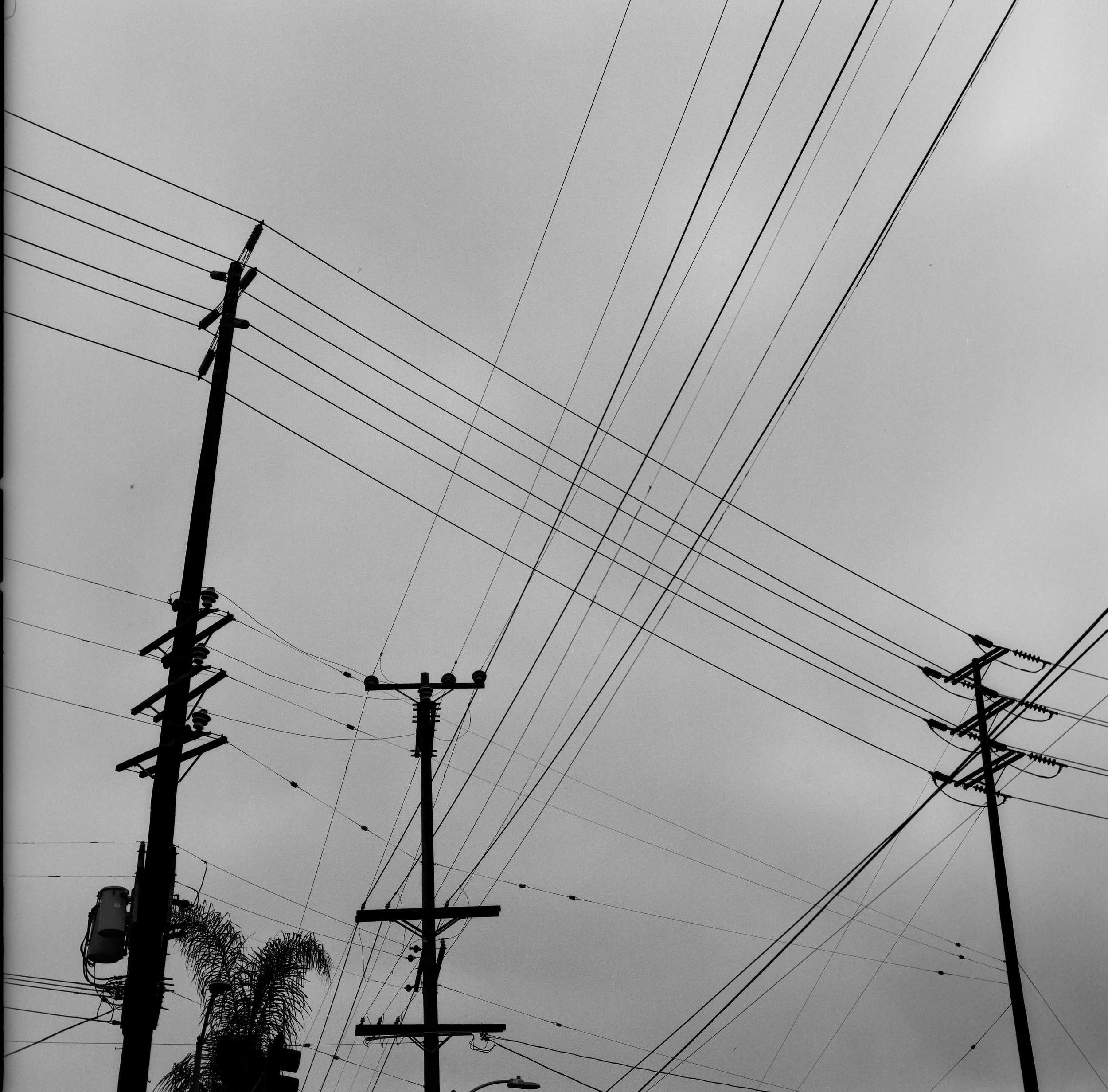 Crossed Lines / Los Angeles, California / 2014