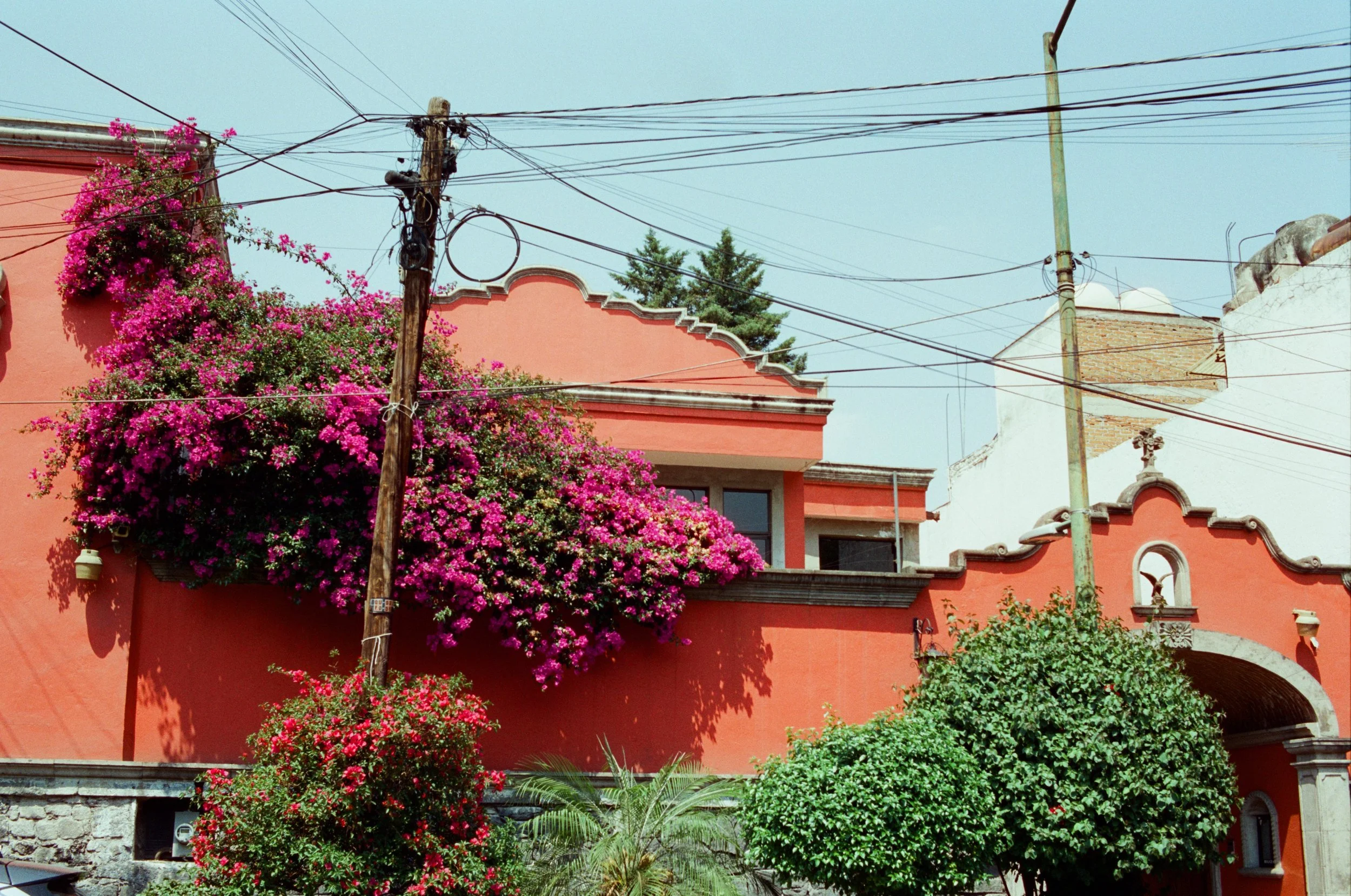 Coyoacan / Mexico City, Mexico / 2025