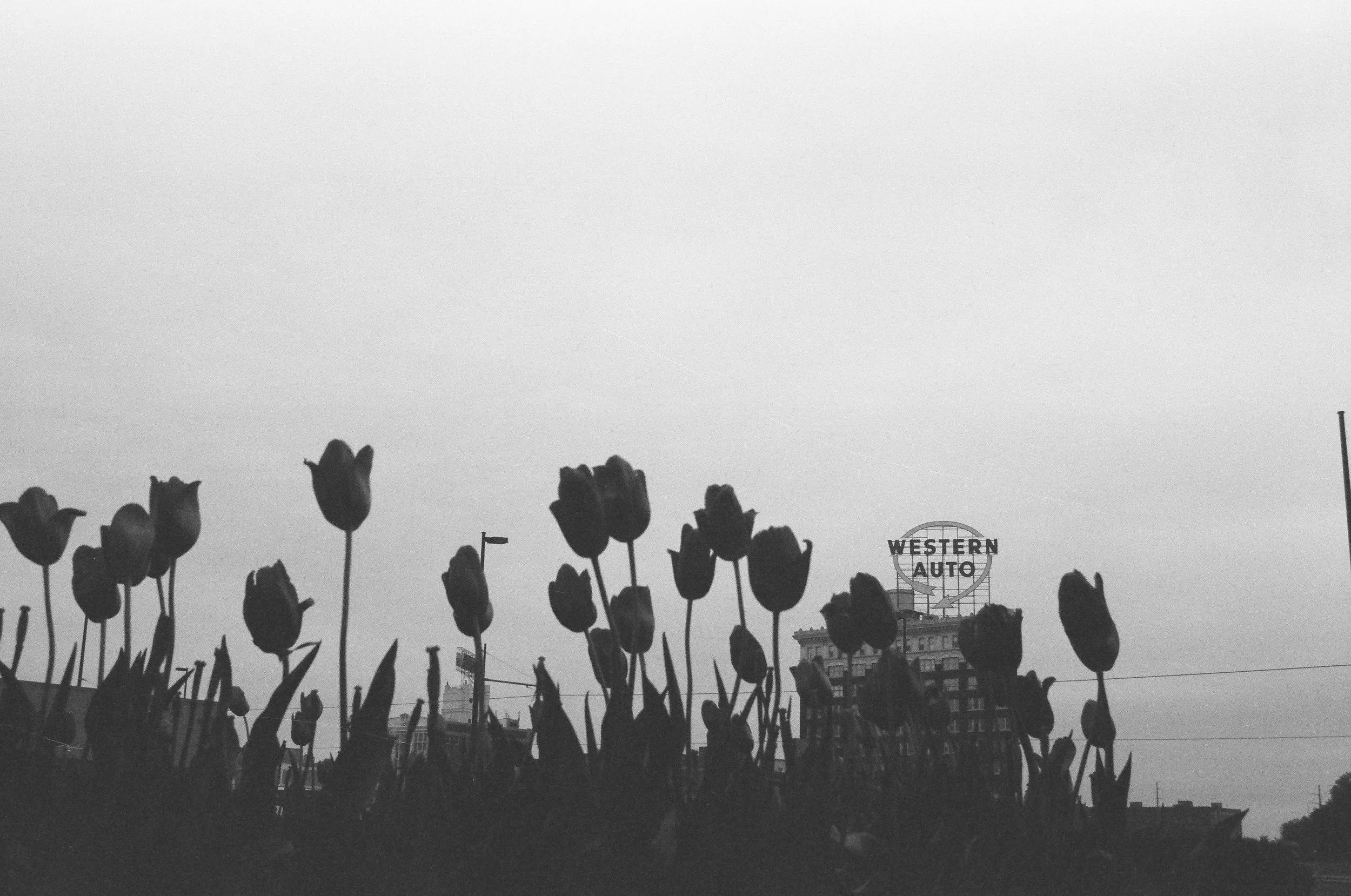 Western Auto / Kansas City, Missouri / 2025