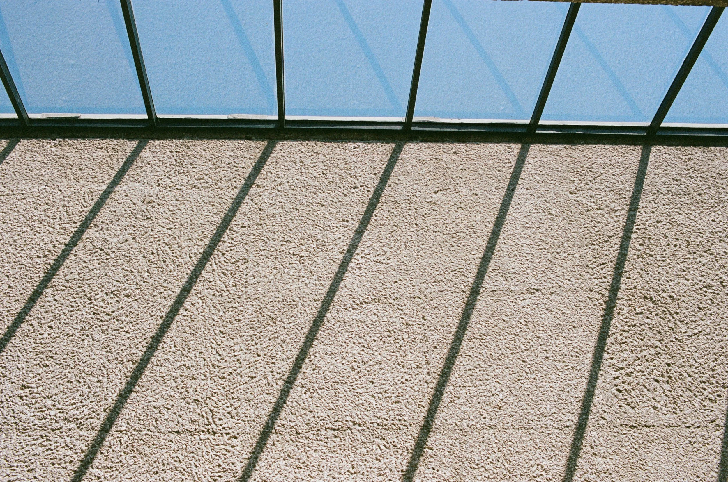 Shadow Lines / 2024