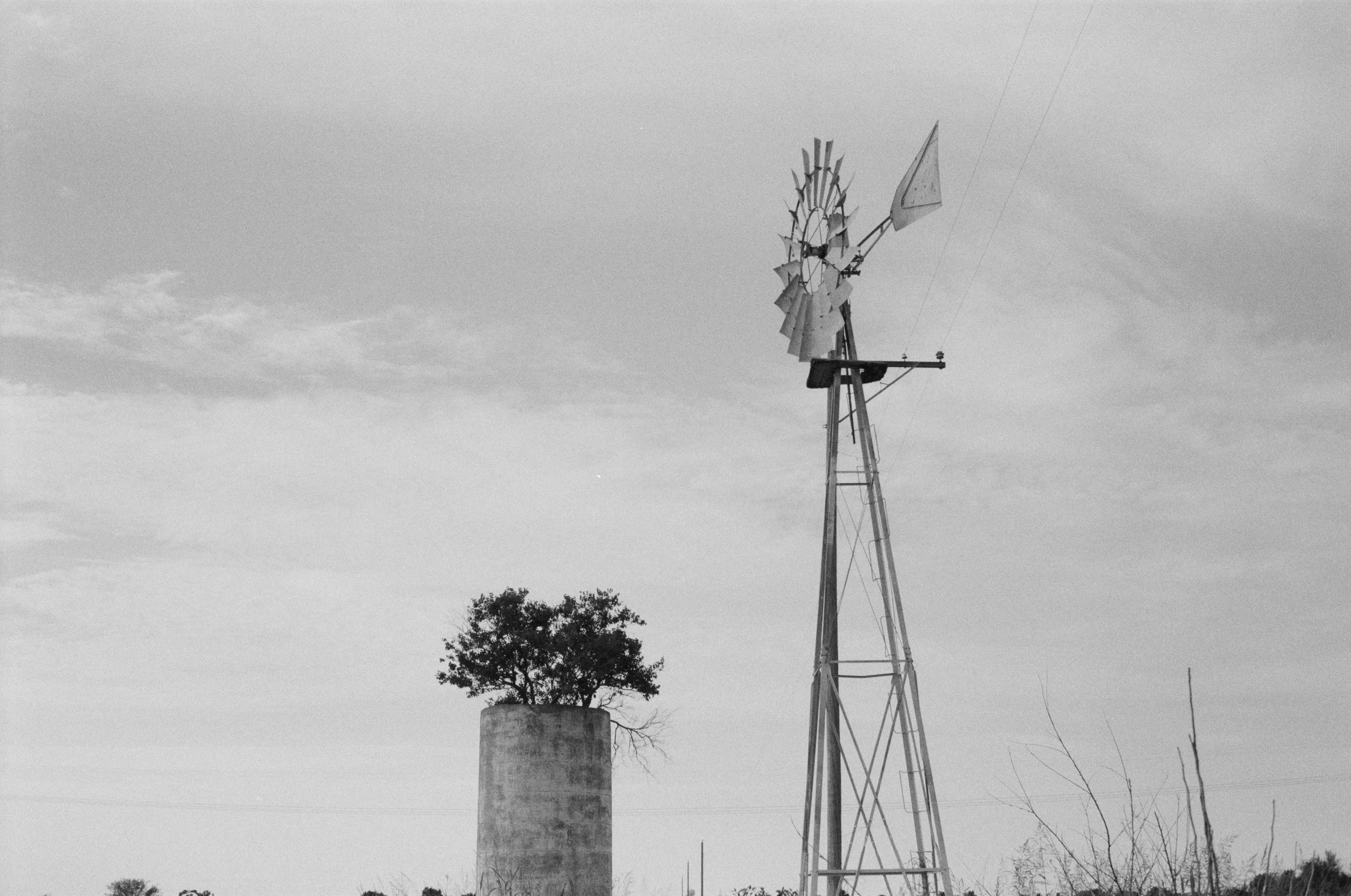 Farm / Somewhere in Missouri / 2024