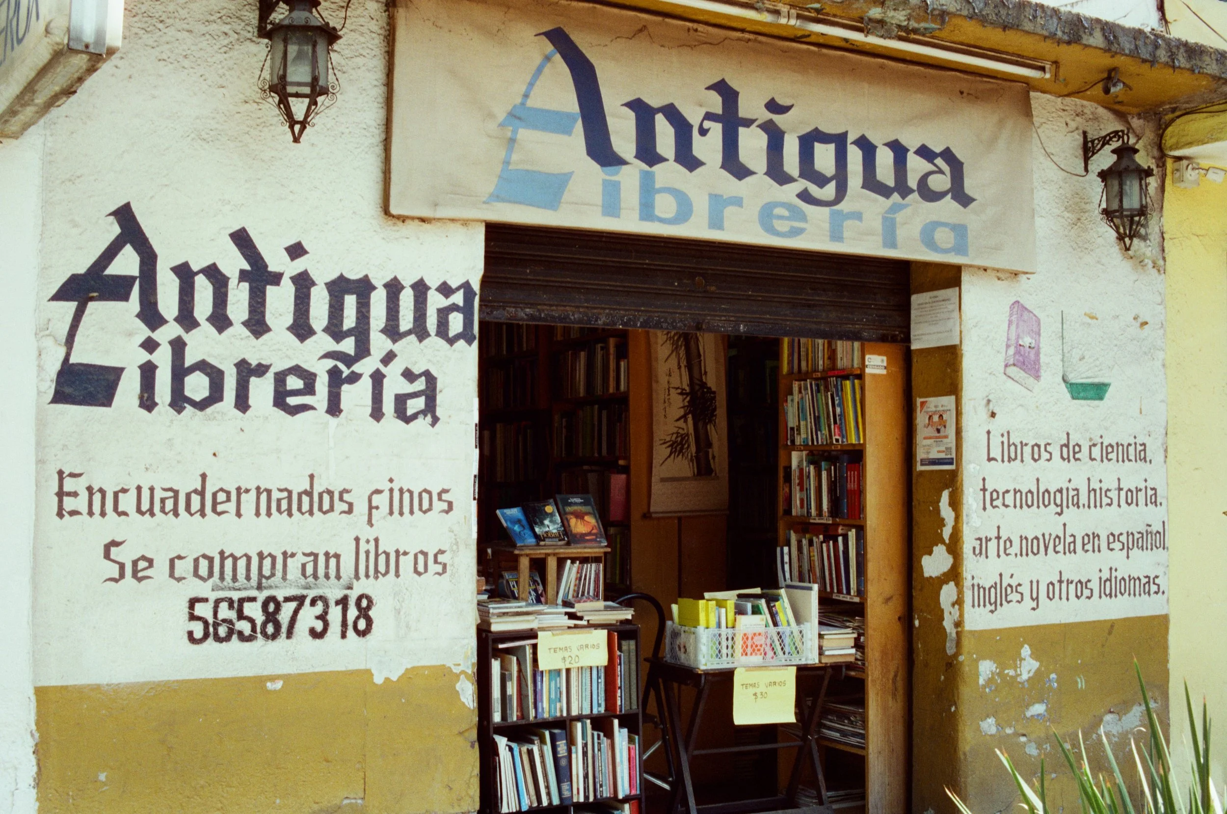 Antigua Libreria / 2025