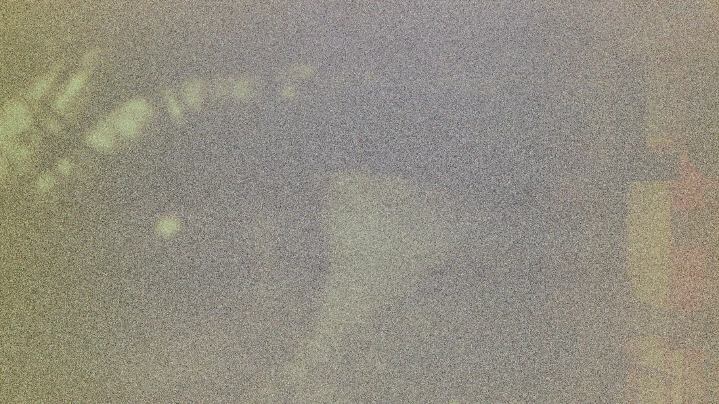 Stanwyck's Eye / 2025