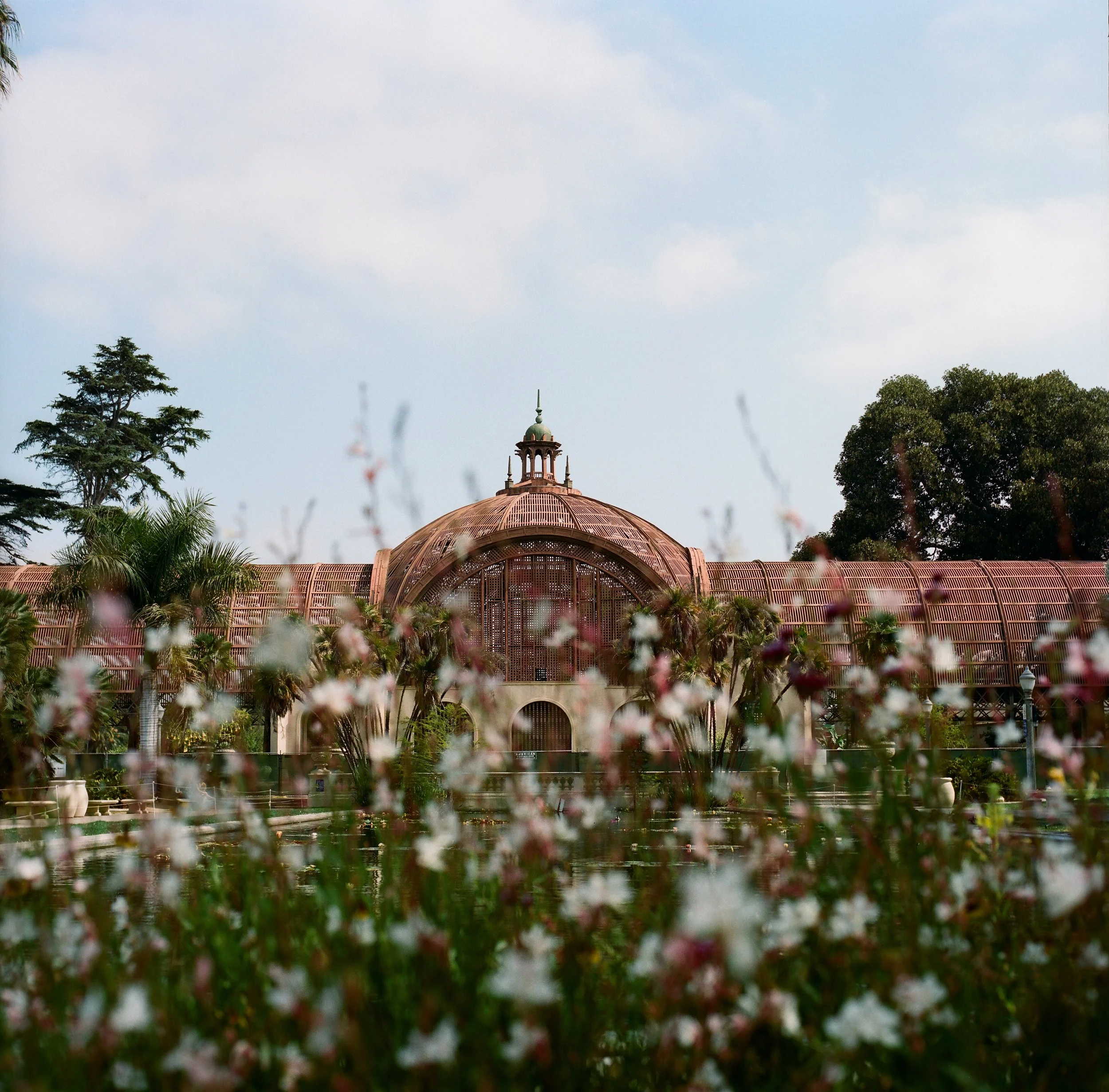 Balboa Park / San Diego, California / 2022