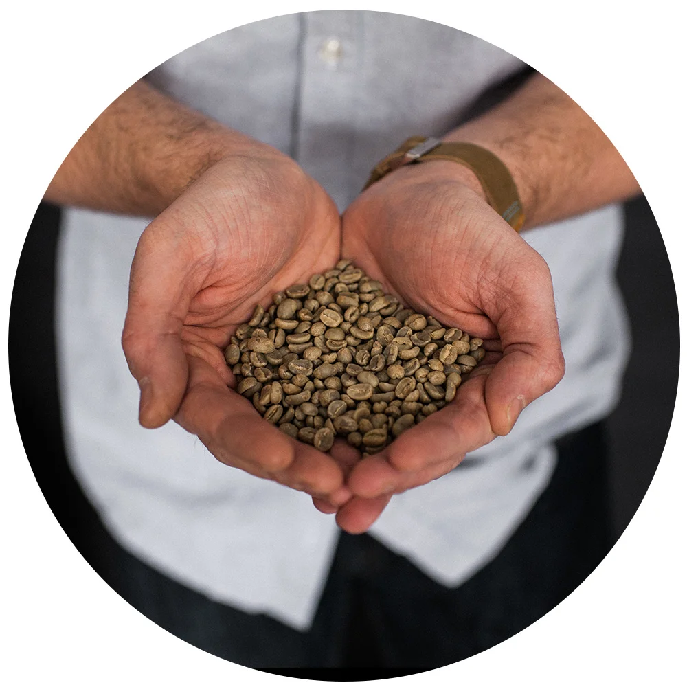 Matt Boshart of Reboot Roasting holding green unroasted coffee beans