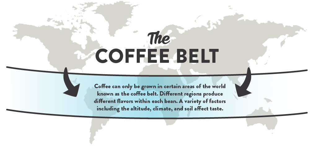 The Coffee Belt