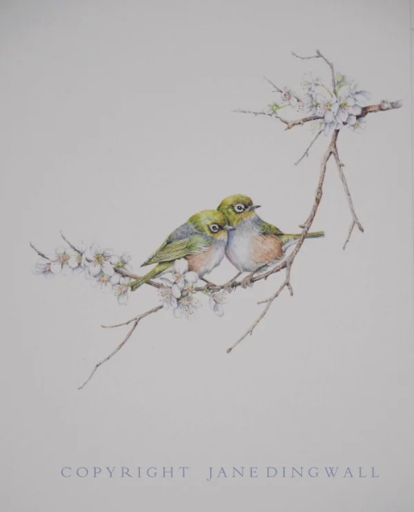 SILVEREYES AND PEAR BLOSSOM