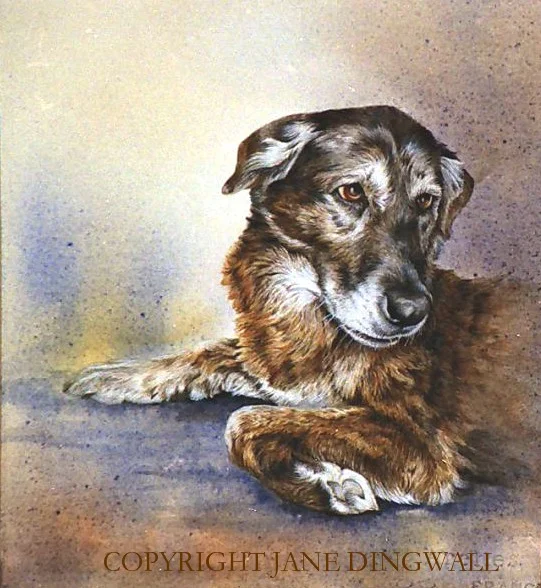 TESS