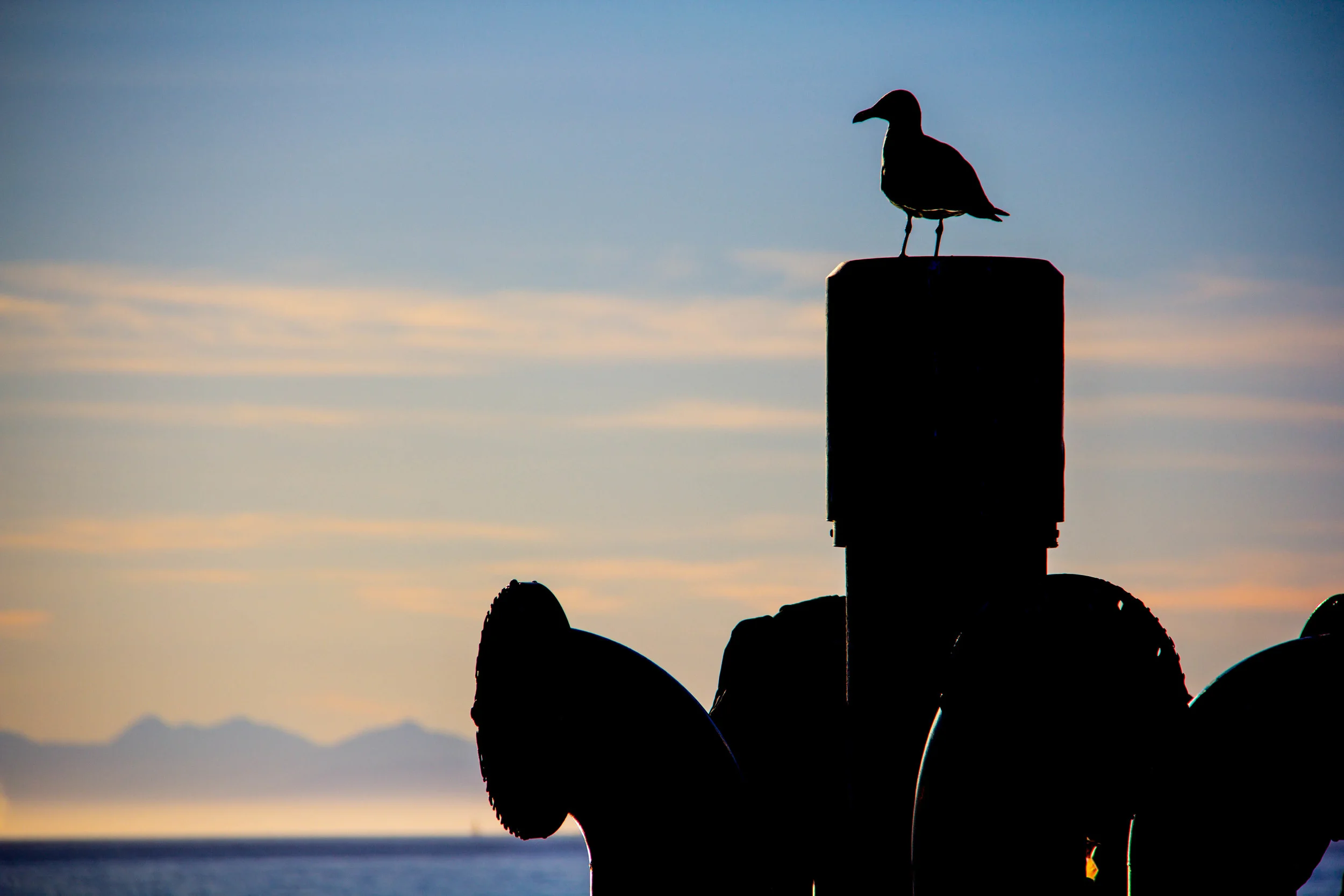 West van etc-1200.jpg