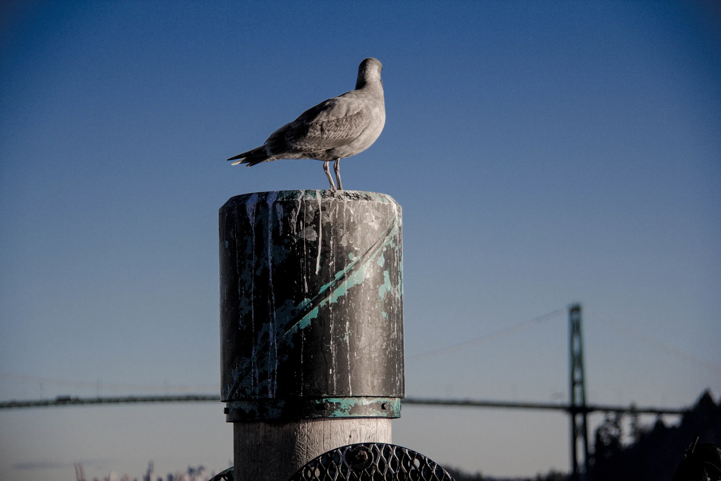 West van etc-1216.jpg