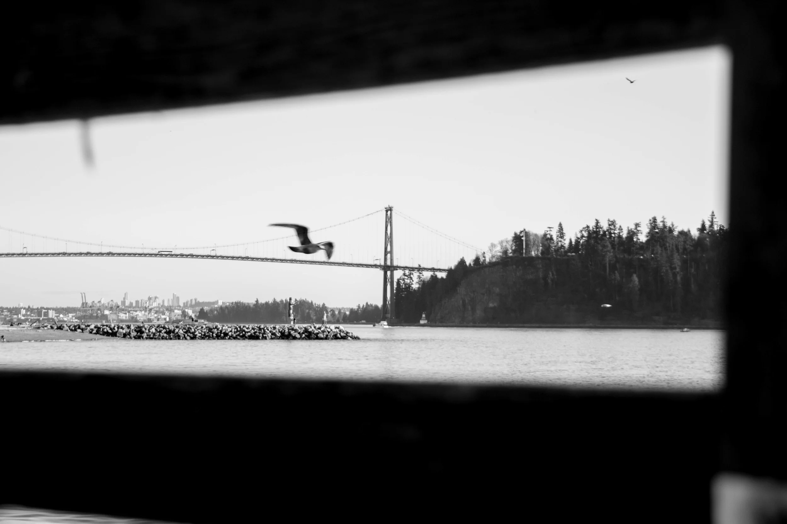 West van etc-1248.jpg