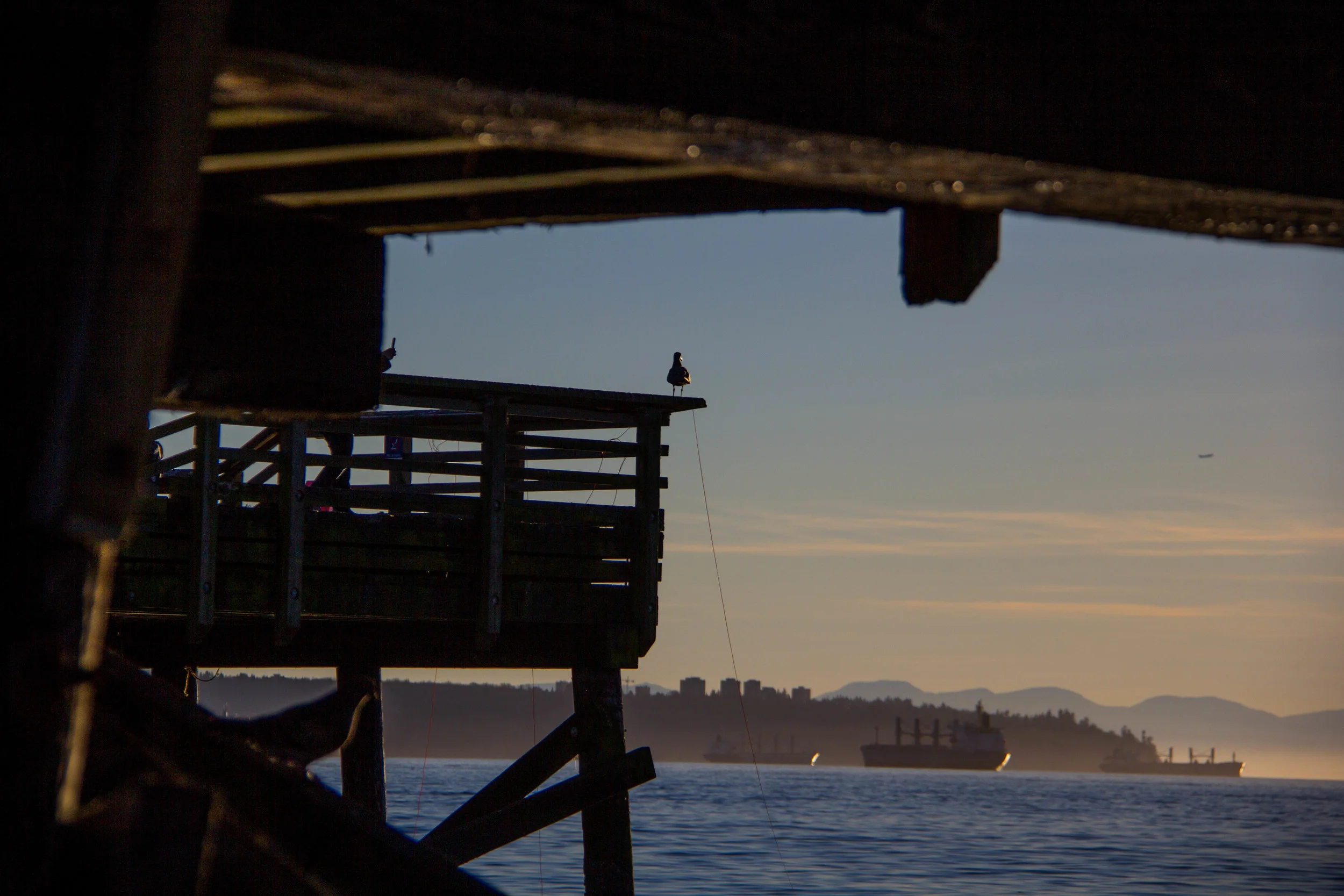 West van etc-1298.jpg