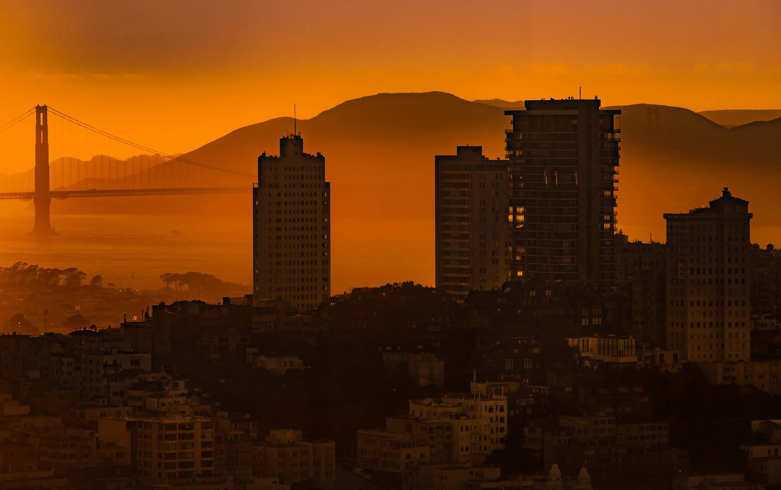 Russian Hill, 2016