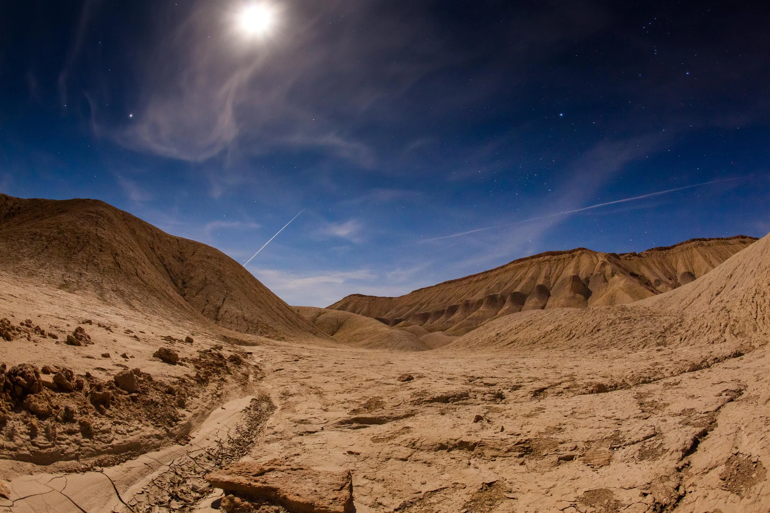 Anza-Borrego State Park, 2016