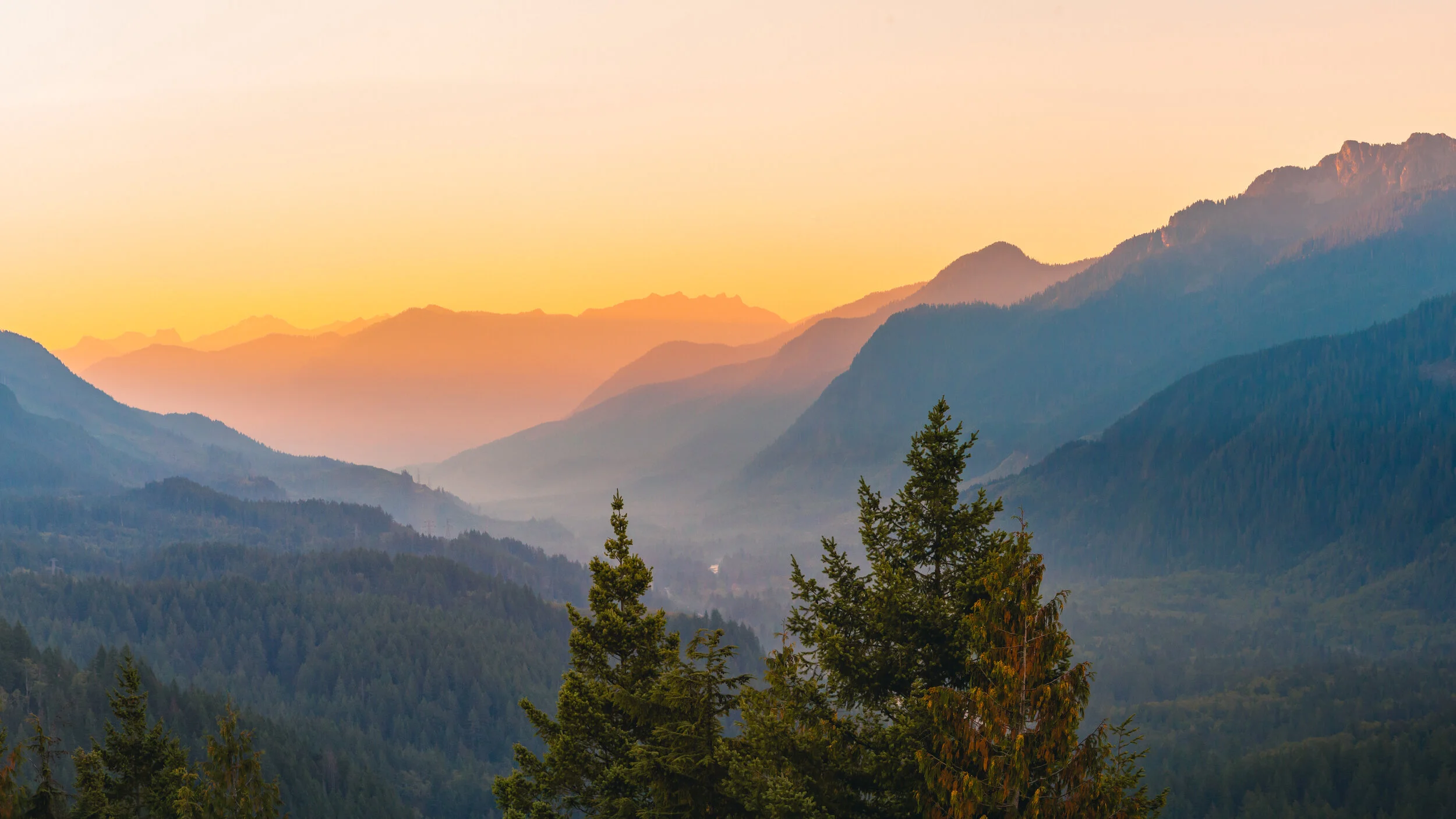 Firetower Sunrise.jpg