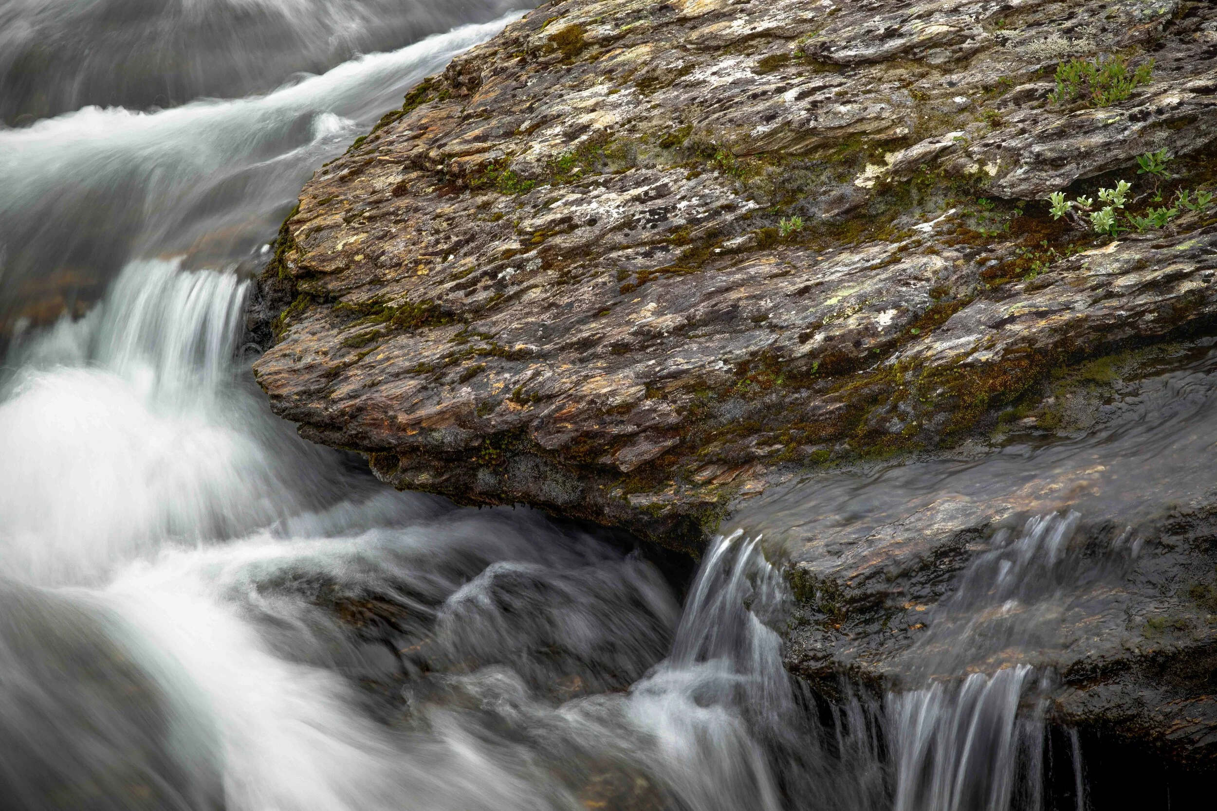 wxh 8280 x 5520.jpg