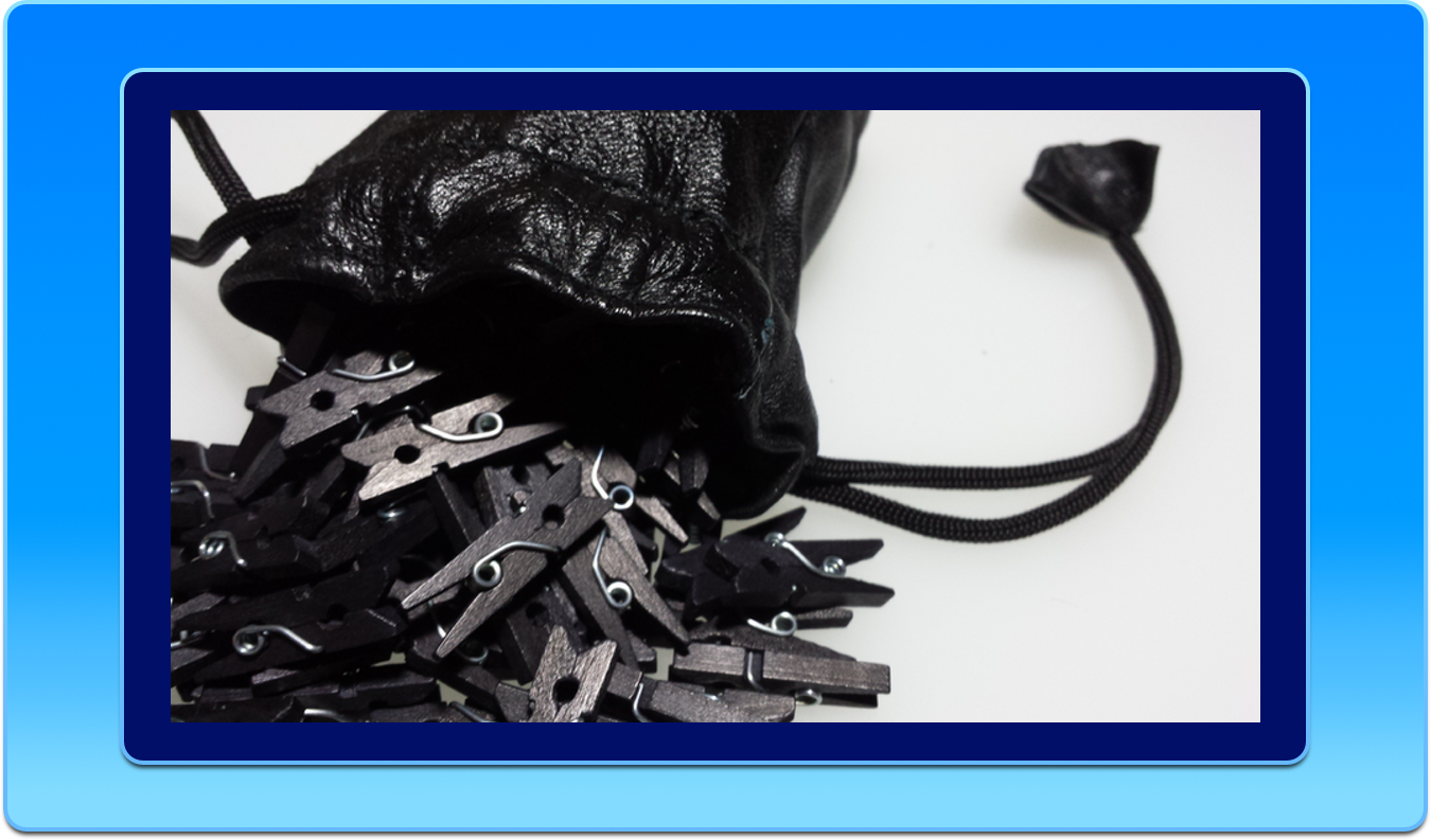 Clothespins in Leather Bag
